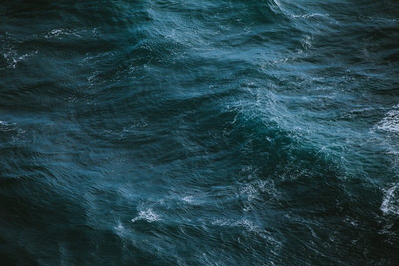 Photo by Ivana Cajina on Unsplash