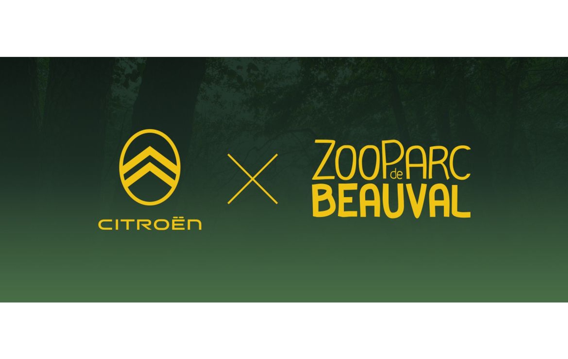 CITROËN C3 au ZooParc de BEAUVAL​​​​‌﻿‍﻿​‍​‍‌‍﻿﻿‌﻿​‍‌‍‍‌‌‍‌﻿‌‍‍‌‌‍﻿‍​‍​‍​﻿‍‍​‍​‍‌﻿​﻿‌‍​‌‌‍﻿‍‌‍‍‌‌﻿‌​‌﻿‍‌​‍﻿‍‌‍‍‌‌‍﻿﻿​‍​‍​‍﻿​​‍​‍‌‍‍​‌﻿​‍‌‍‌‌‌‍‌‍​‍​‍​﻿‍‍​‍​‍‌‍‍​‌﻿‌​‌﻿‌​‌﻿​​‌﻿​﻿​﻿‍‍​‍﻿﻿​‍﻿﻿‌‍﻿​‌‍​‌‌‍﻿​‌﻿‌​​‍﻿‍‌﻿​﻿‌‍​‌‌‍﻿‍‌‍‍‌‌﻿‌​‌﻿‍‌​‍﻿‍‌﻿​﻿‌﻿‌​‌﻿‌‌‌‍‌​‌‍‍‌‌‍﻿﻿​‍﻿﻿‌‍‍‌‌‍﻿‍‌﻿‌​‌‍‌‌‌‍﻿‍‌﻿‌​​‍﻿﻿‌‍‌‌‌‍‌​‌‍‍‌‌﻿‌​​‍﻿﻿‌‍﻿‌‌‍﻿﻿‌‍‌​‌‍‌‌​﻿﻿‌‌﻿​​‌﻿​‍‌‍‌‌‌﻿​﻿‌‍‌‌‌‍﻿‍‌﻿‌​‌‍​‌‌﻿‌​‌‍‍‌‌‍﻿﻿‌‍﻿‍​﻿‍﻿‌‍‍‌‌‍‌​​﻿﻿‌​﻿‍​‌‍‌​​﻿‌‍​﻿‌﻿‌‍‌‍​﻿‍​​﻿‌‌​﻿‌‍​‍﻿‌​﻿‌﻿​﻿​‍​﻿​‍​﻿​﻿​‍﻿‌​﻿‌​‌‍​‌​﻿​​​﻿‌﻿​‍﻿‌​﻿‍‌​﻿‌﻿​﻿​‍‌‍​‍​‍﻿‌‌‍‌‍​﻿​​​﻿‍‌‌‍‌‍‌‍​‌‌‍​‌​﻿‍‌​﻿‍​​﻿‌​‌‍​﻿​﻿‌﻿​﻿​‍​﻿‍﻿‌﻿‌​‌﻿‍‌‌﻿​​‌‍‌‌​﻿﻿‌‌﻿​​‌﻿​‍‌‍﻿﻿‌‍‍‍‌‍‌‌‌‍​﻿‌﻿‌​​﻿‍﻿‌﻿​​‌‍​‌‌﻿‌​‌‍‍​​﻿﻿‌‌‍﻿‍‌‍​‌‌‍﻿‌‌‍‌‌​﻿﻿﻿‌‍​‍‌‍​‌‌﻿​﻿‌‍‌‌‌‌‌‌‌﻿​‍‌‍﻿​​﻿﻿‌‌‍‍​‌﻿‌​‌﻿‌​‌﻿​​‌﻿​﻿​‍‌‌​﻿​﻿‌​​‌​‍‌‌​﻿​‍‌​‌‍​‍‌‌​﻿​‍‌​‌‍‌‍﻿​‌‍​‌‌‍﻿​‌﻿‌​​‍﻿‍‌﻿​﻿‌‍​‌‌‍﻿‍‌‍‍‌‌﻿‌​‌﻿‍‌​‍﻿‍‌﻿​﻿‌﻿‌​‌﻿‌‌‌‍‌​‌‍‍‌‌‍﻿﻿​‍‌‍‌‍‍‌‌‍‌​​﻿﻿‌​﻿‍​‌‍‌​​﻿‌‍​﻿‌﻿‌‍‌‍​﻿‍​​﻿‌‌​﻿‌‍​‍﻿‌​﻿‌﻿​﻿​‍​﻿​‍​﻿​﻿​‍﻿‌​﻿‌​‌‍​‌​﻿​​​﻿‌﻿​‍﻿‌​﻿‍‌​﻿‌﻿​﻿​‍‌‍​‍​‍﻿‌‌‍‌‍​﻿​​​﻿‍‌‌‍‌‍‌‍​‌‌‍​‌​﻿‍‌​﻿‍​​﻿‌​‌‍​﻿​﻿‌﻿​﻿​‍​‍‌‍‌﻿‌​‌﻿‍‌‌﻿​​‌‍‌‌​﻿﻿‌‌﻿​​‌﻿​‍‌‍﻿﻿‌‍‍‍‌‍‌‌‌‍​﻿‌﻿‌​​‍‌‍‌﻿​​‌‍​‌‌﻿‌​‌‍‍​​﻿﻿‌‌‍﻿‍‌‍​‌‌‍﻿‌‌‍‌‌​‍‌‍‌﻿​​‌‍‌‌‌﻿​‍‌﻿​﻿‌﻿​​‌‍‌‌‌‍​﻿‌﻿‌​‌‍‍‌‌﻿‌‍‌‍‌‌​﻿﻿‌‌﻿​​‌﻿‌‌‌‍​‍‌‍﻿​‌‍‍‌‌﻿​﻿‌‍‍​‌‍‌‌‌‍‌​​‍​‍‌﻿﻿‌