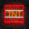 Miniature Néon Bloc TNT Minecraft - Néon personnalisé