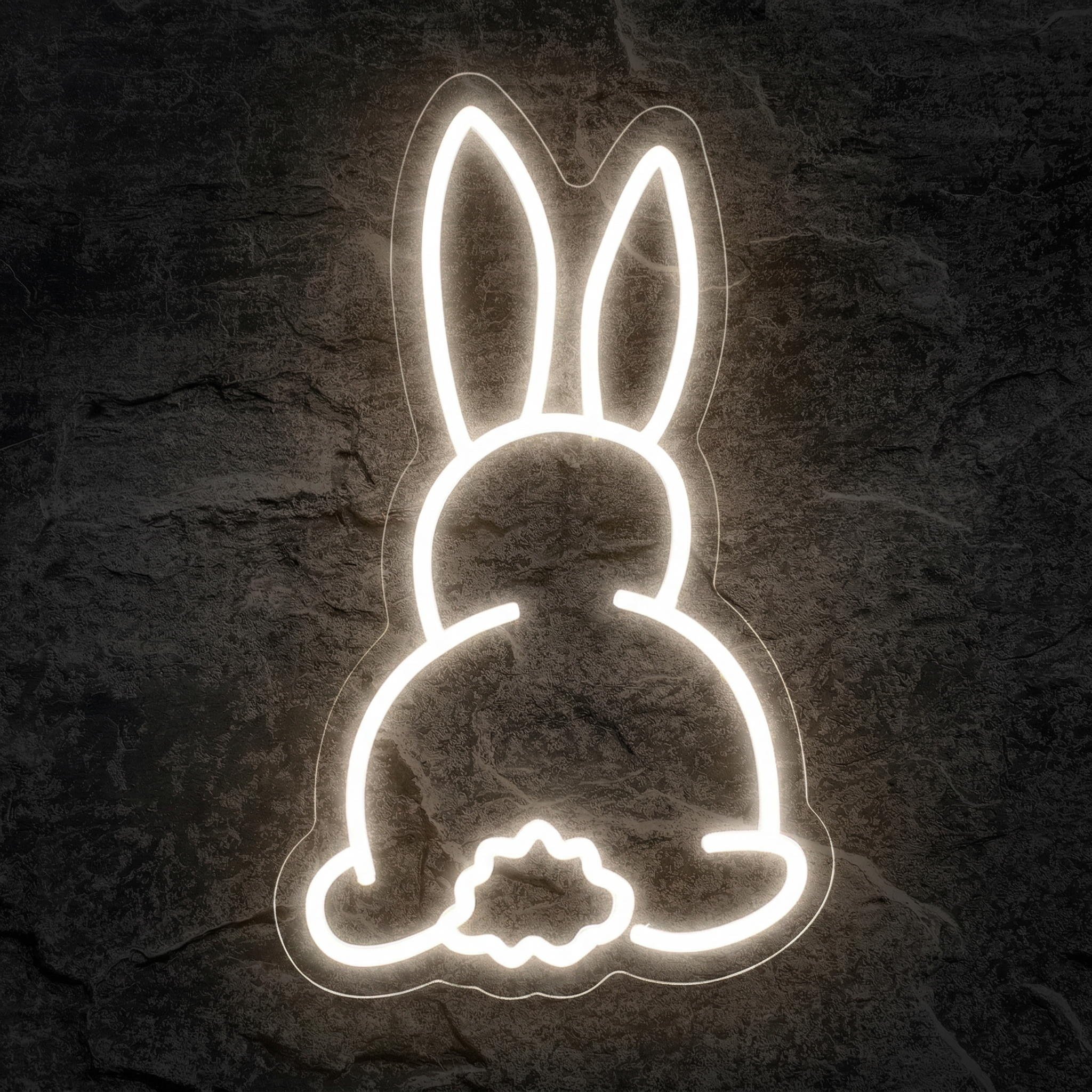 Néon Lapin - Néon personnalisé NeonStar