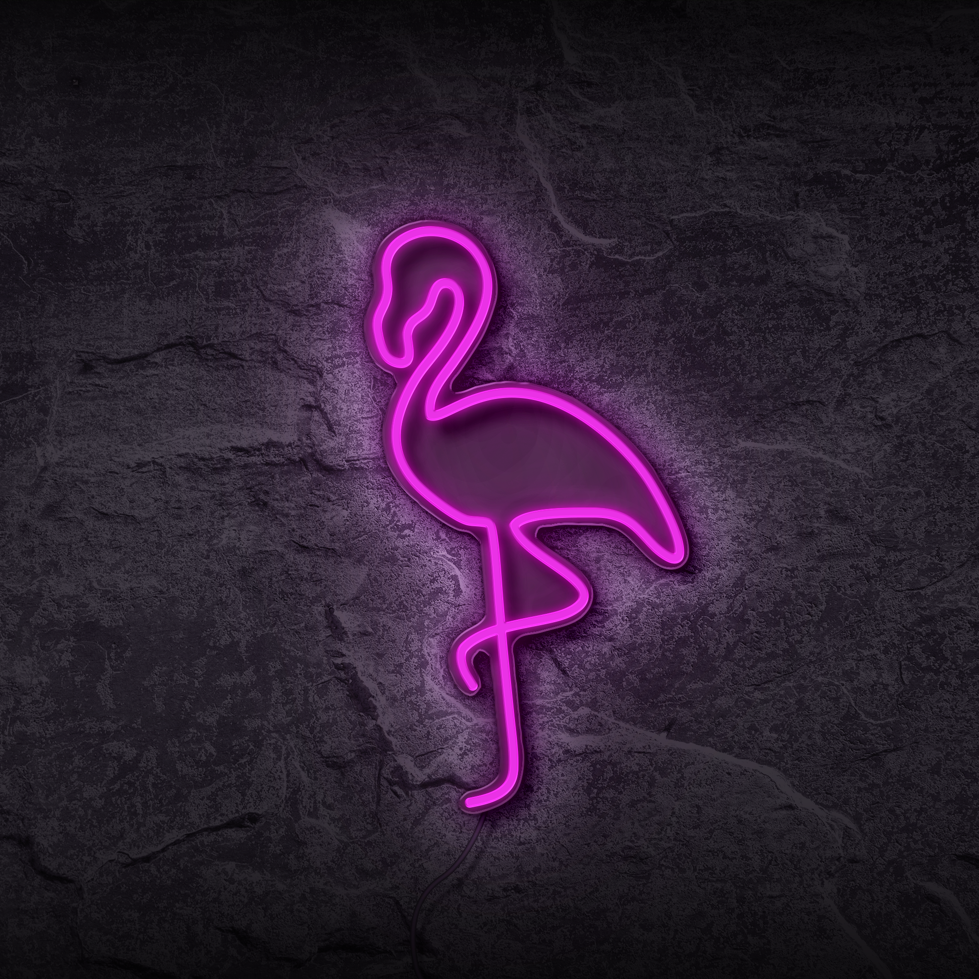 FLAMAND ROSE - Néon personnalisé NeonStar