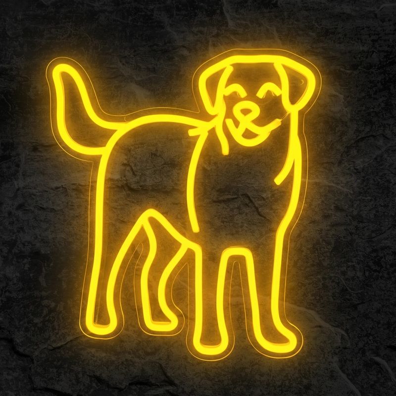 Néon Labrador - Néon personnalisé NeonStar