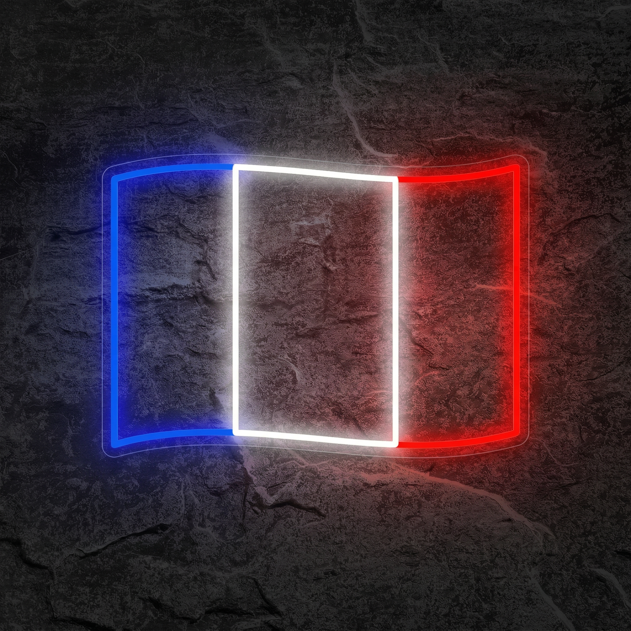 Néon Drapeau de la France - Néon personnalisé NeonStar