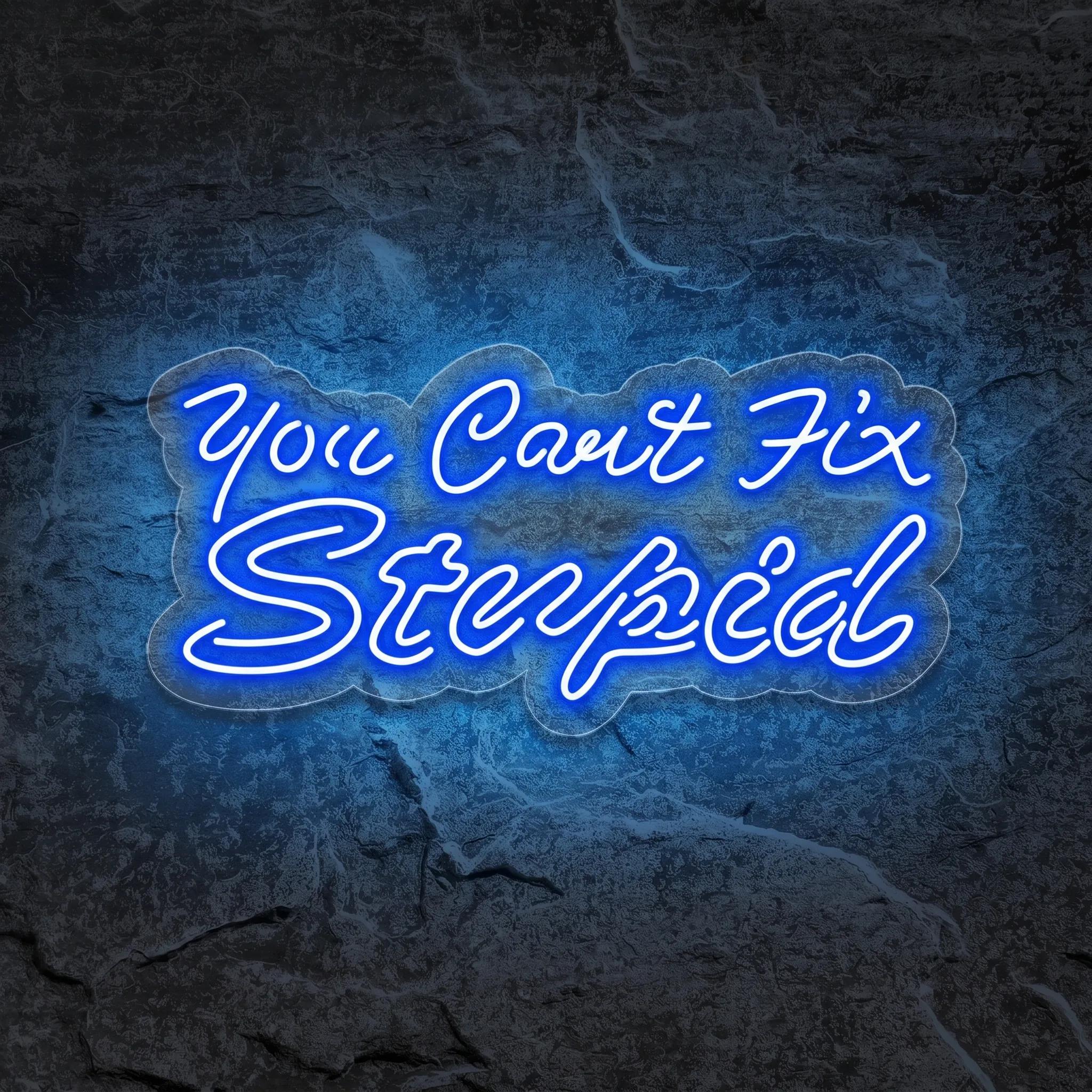 Néon You Can't Fix Stupid - Néon personnalisé NeonStar