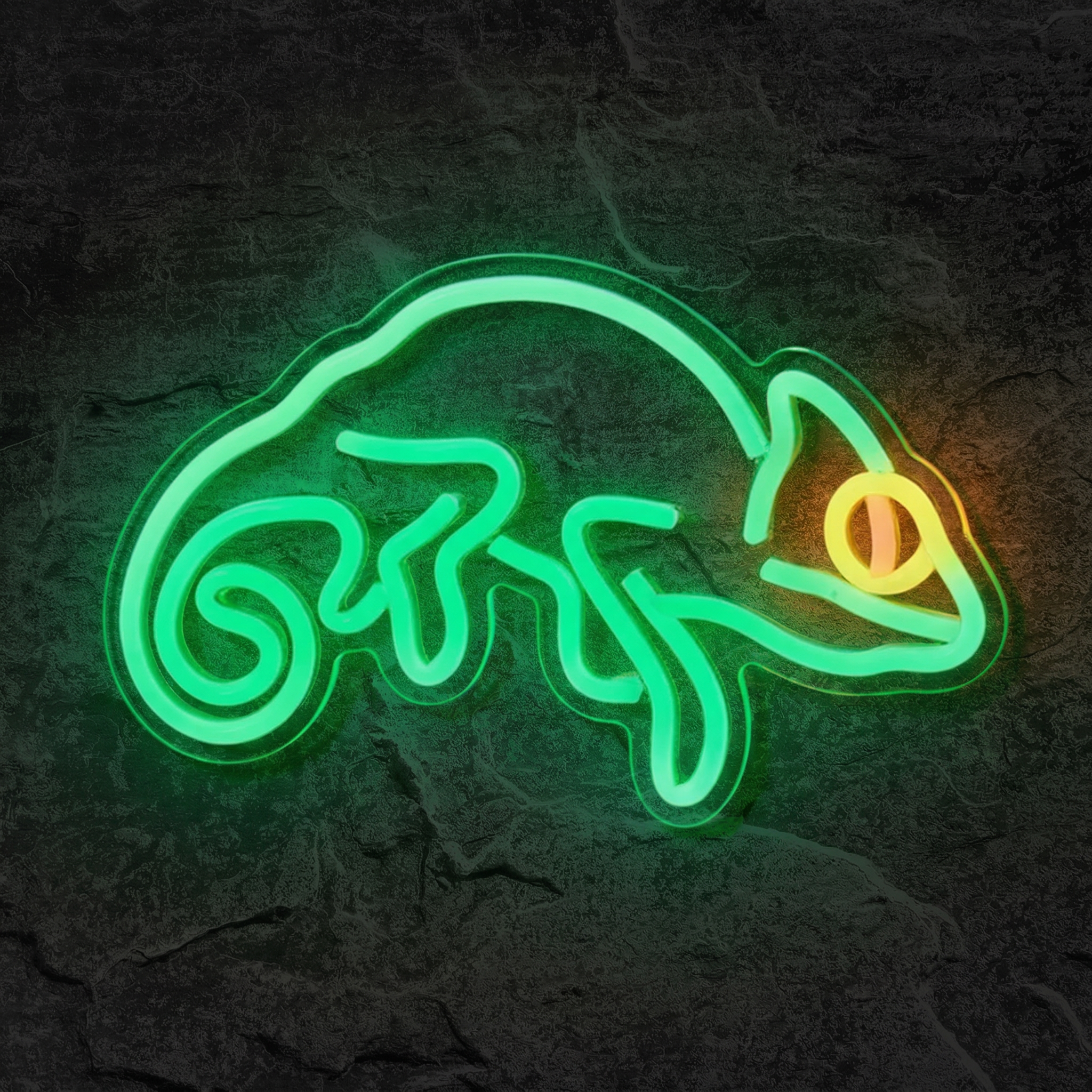 Néon Caméléon - Néon personnalisé NeonStar