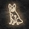 Miniature Néon Drovers Dog - Néon personnalisé