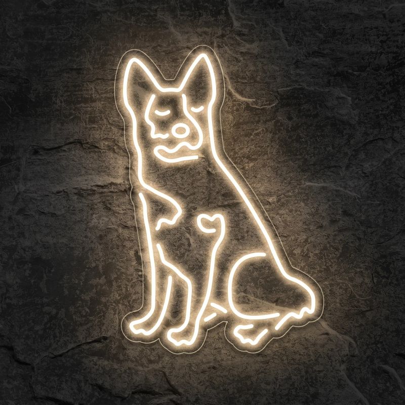Néon Drovers Dog - Néon personnalisé NeonStar
