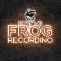 Miniature Néon Frog Recording - Néon personnalisé