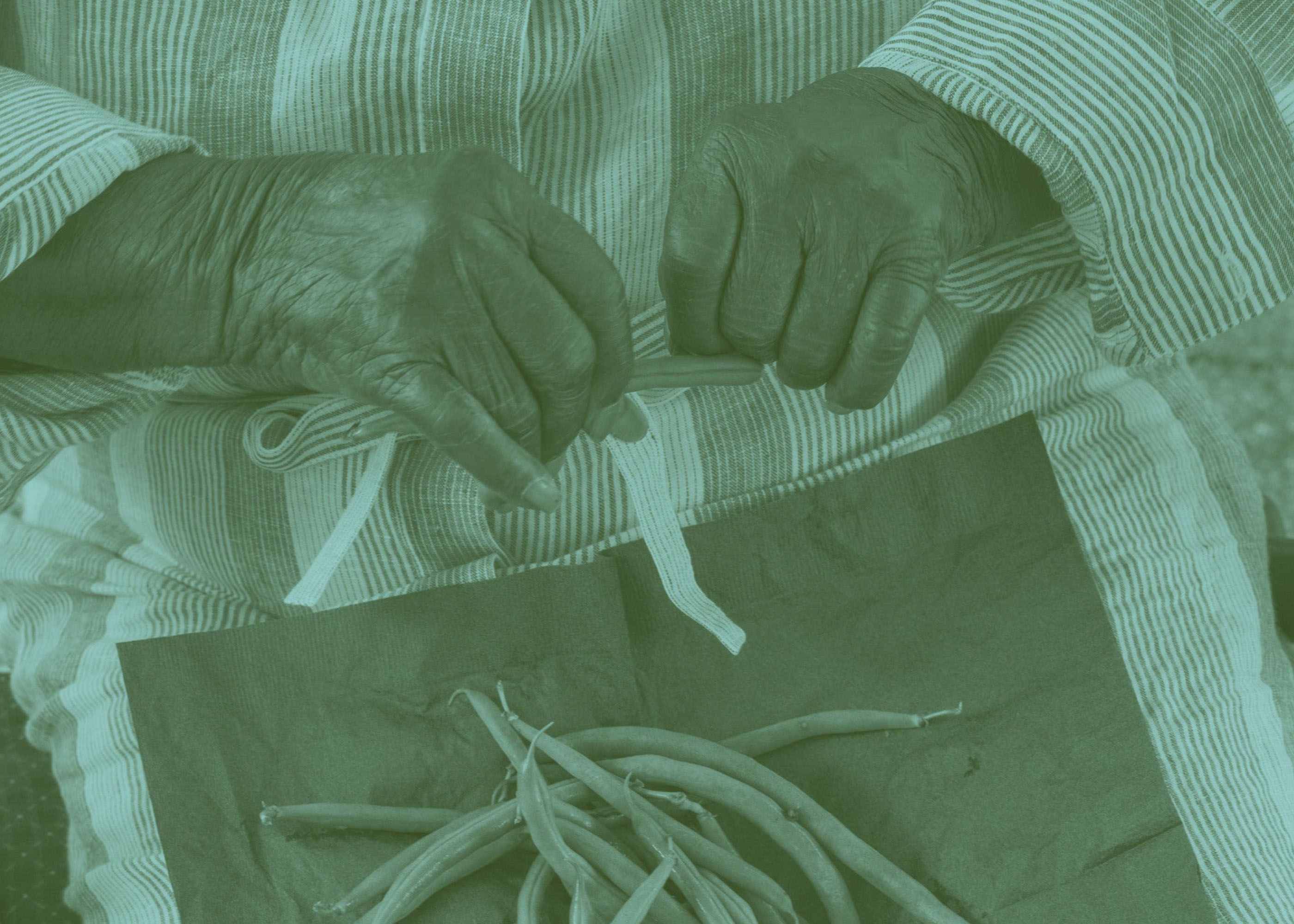 Seeding Joy Workshop