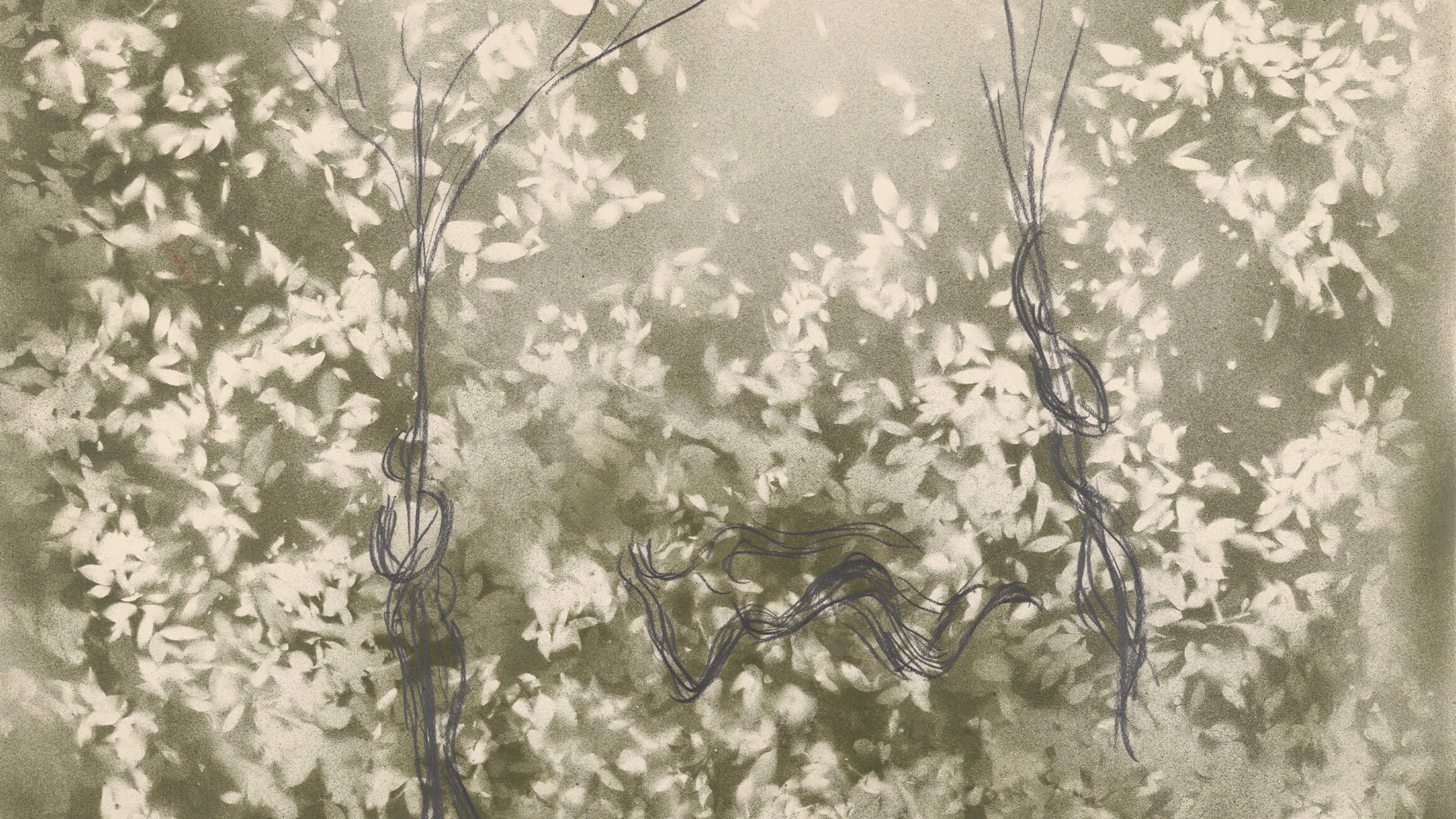 River of Forms | Philadelphia Museum of Art