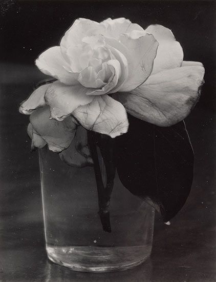 Adventures in Photography | Philadelphia Museum of Art