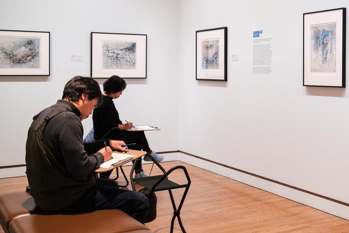 Sketching In The Galleries