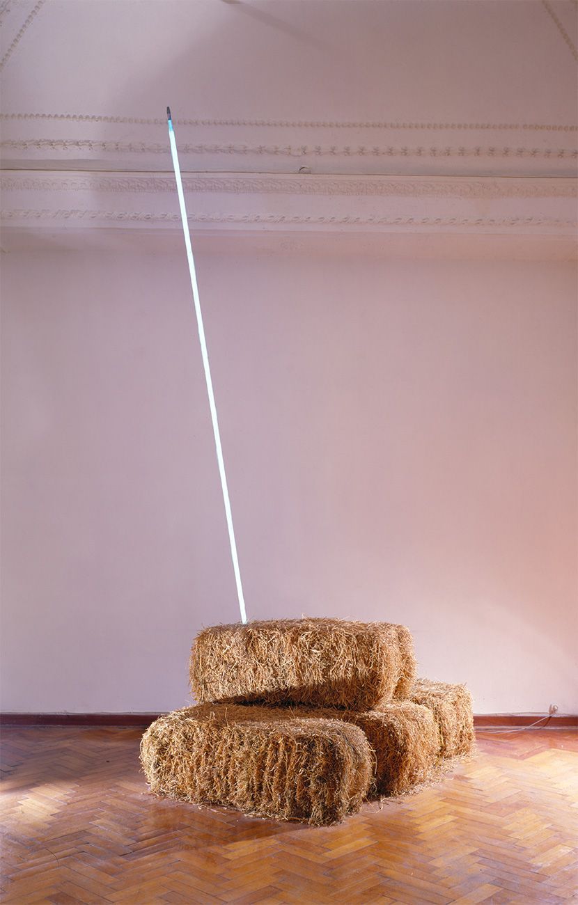 Arte Povera | Philadelphia Museum of Art
