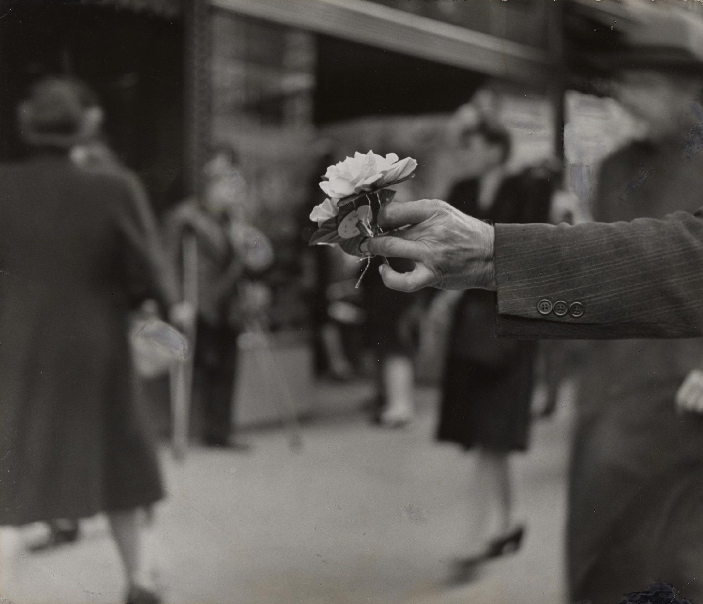 Louis Faurer | Philadelphia Museum of Art