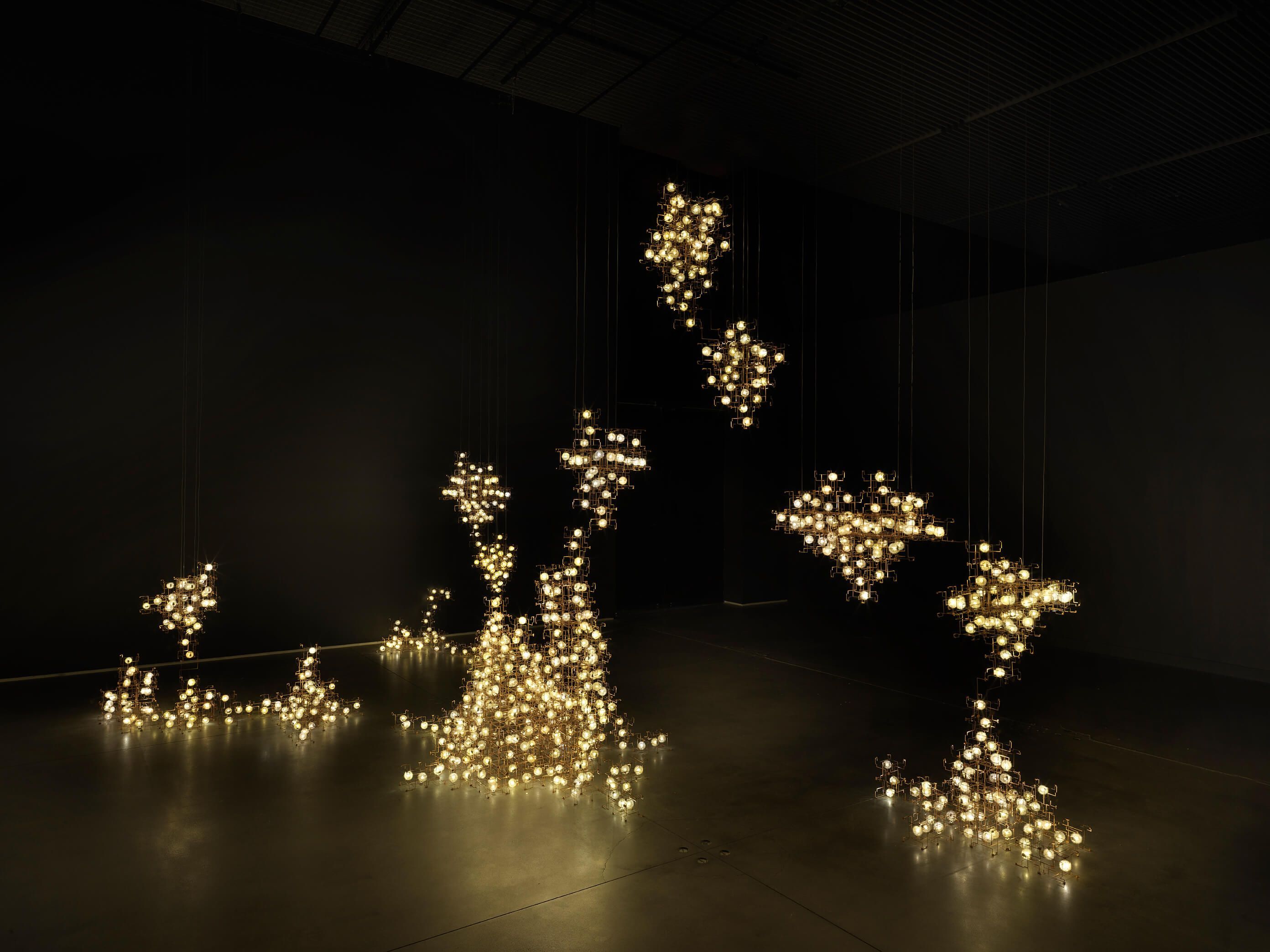 Rhythms of Nature | Philadelphia Museum of Art