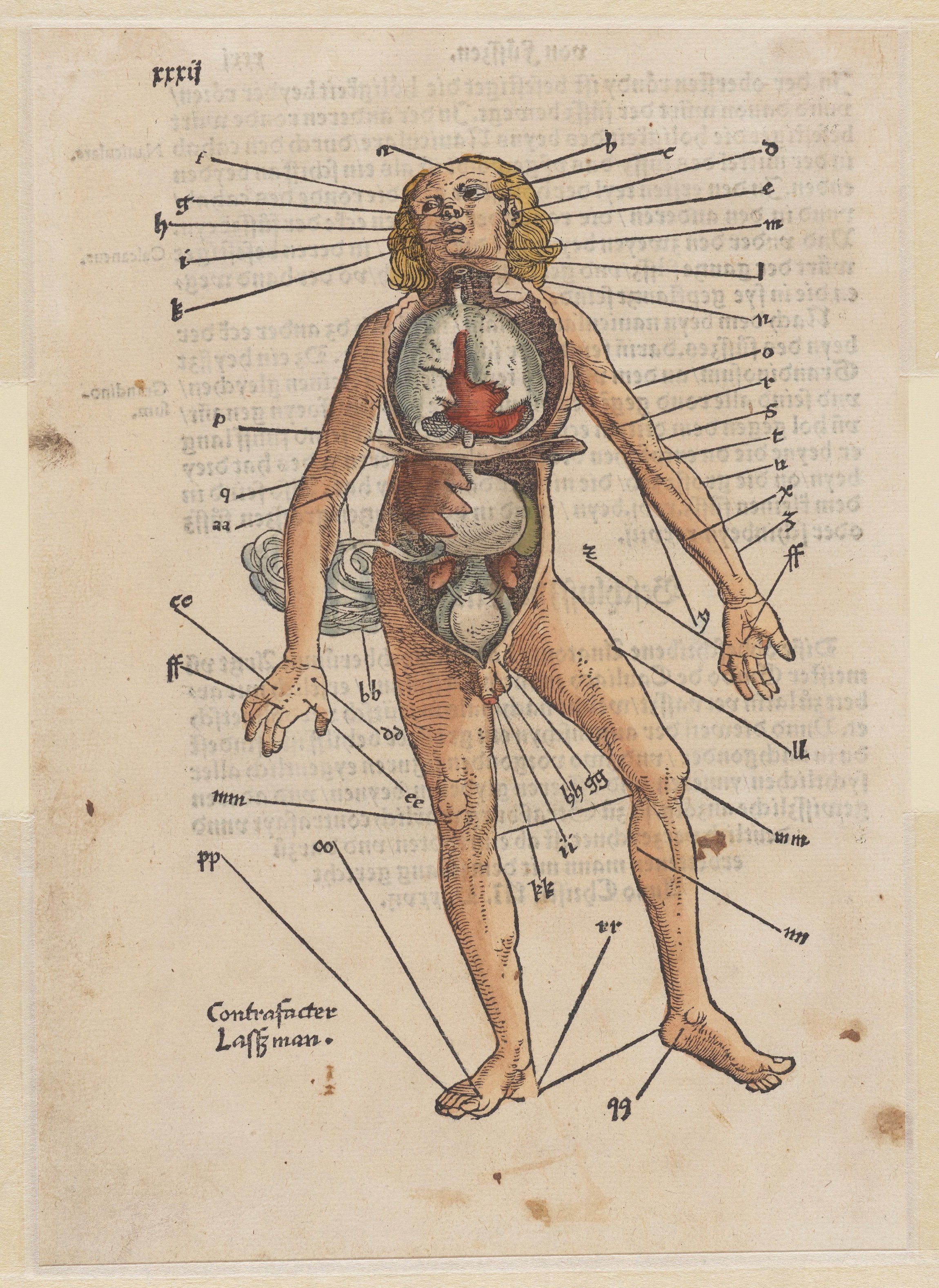 Ars Medica | Philadelphia Museum of Art