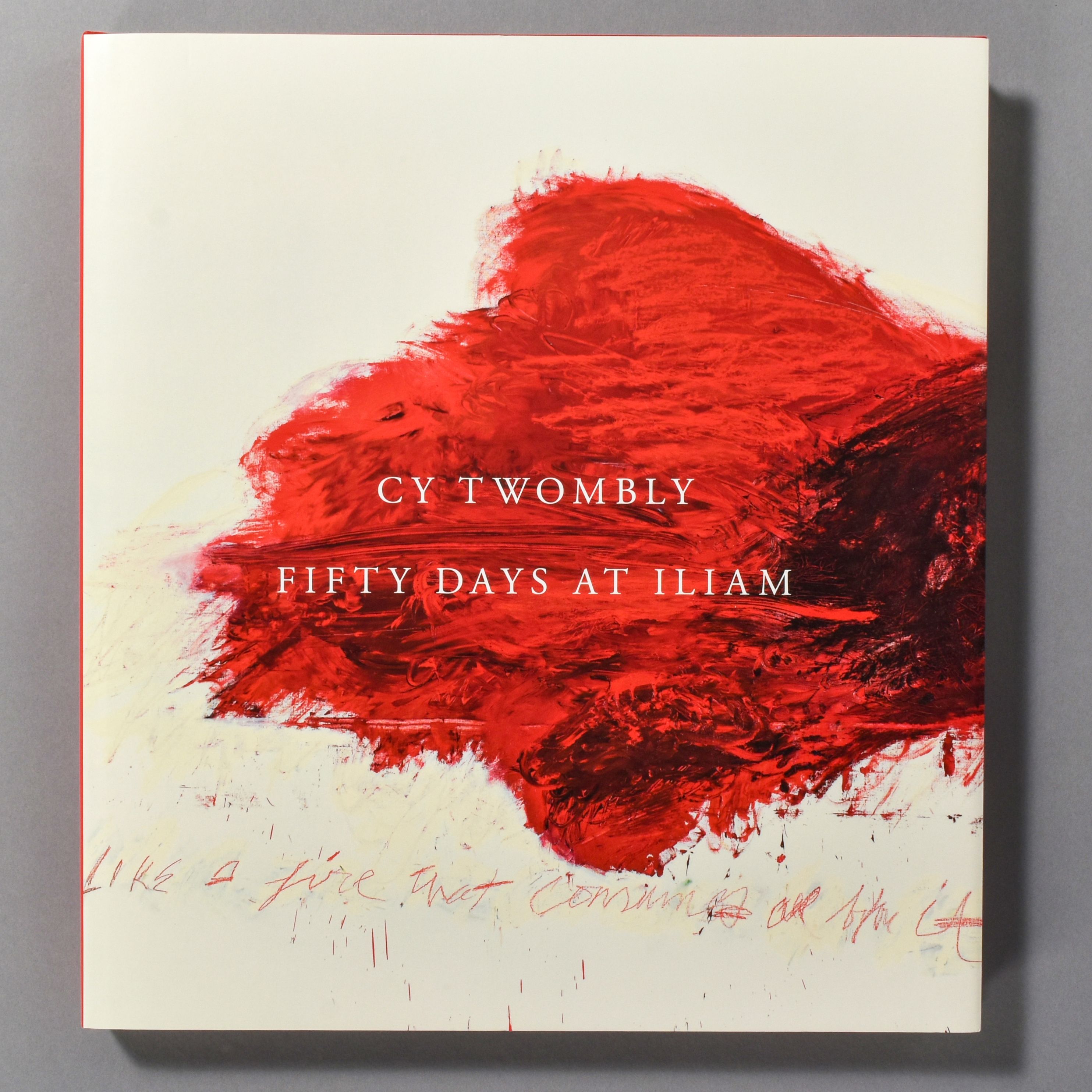 Christian Illusionist トランプ　2セット　リリー Cy Twombly: Fifty Days at Iliam | Philadelphia Museum of Art