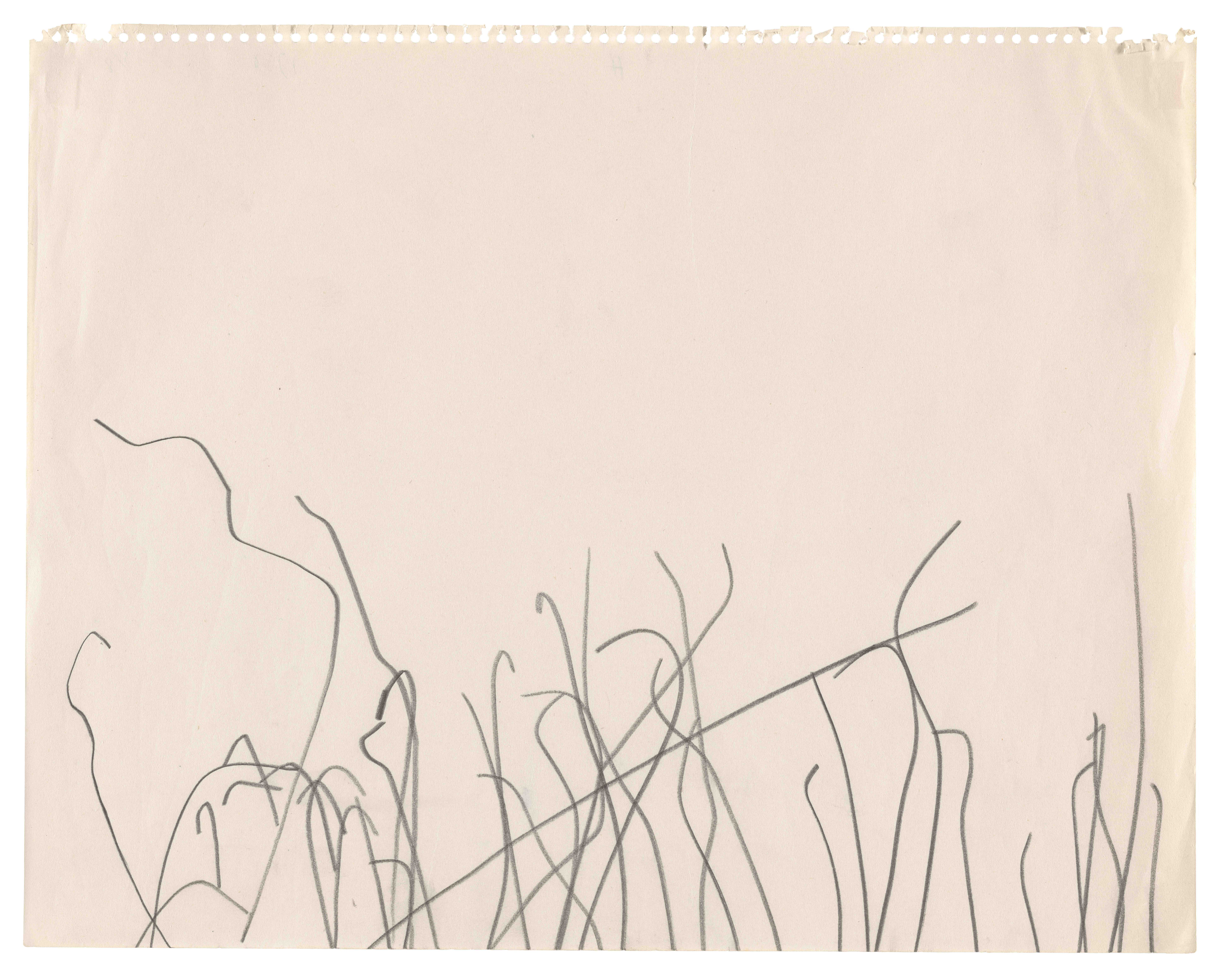 ellsworth kelly drawings リトグラフ　額装品 Ellsworth Kelly | Philadelphia Museum of Art