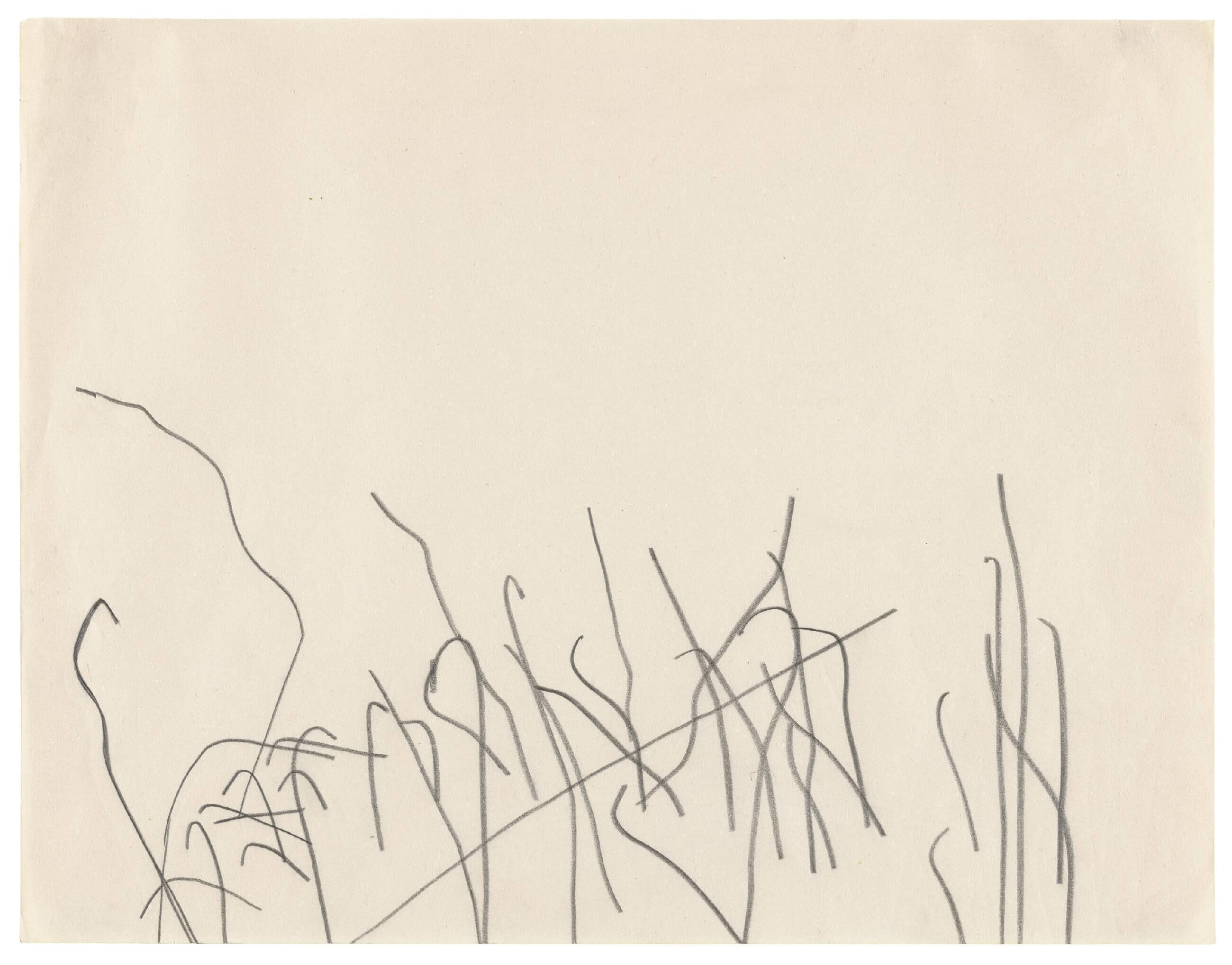 Ellsworth Kelly | Philadelphia Museum of Art
