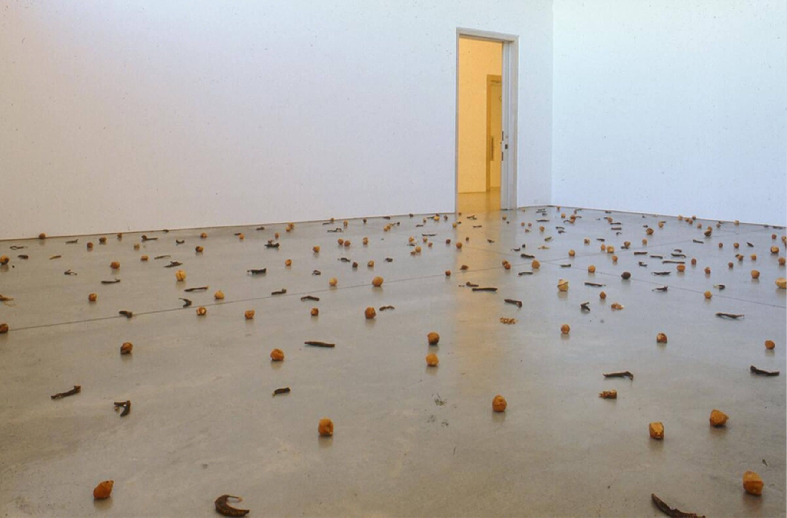 Zoe Leonard: Strange Fruit Installation | Philadelphia Museum of Art