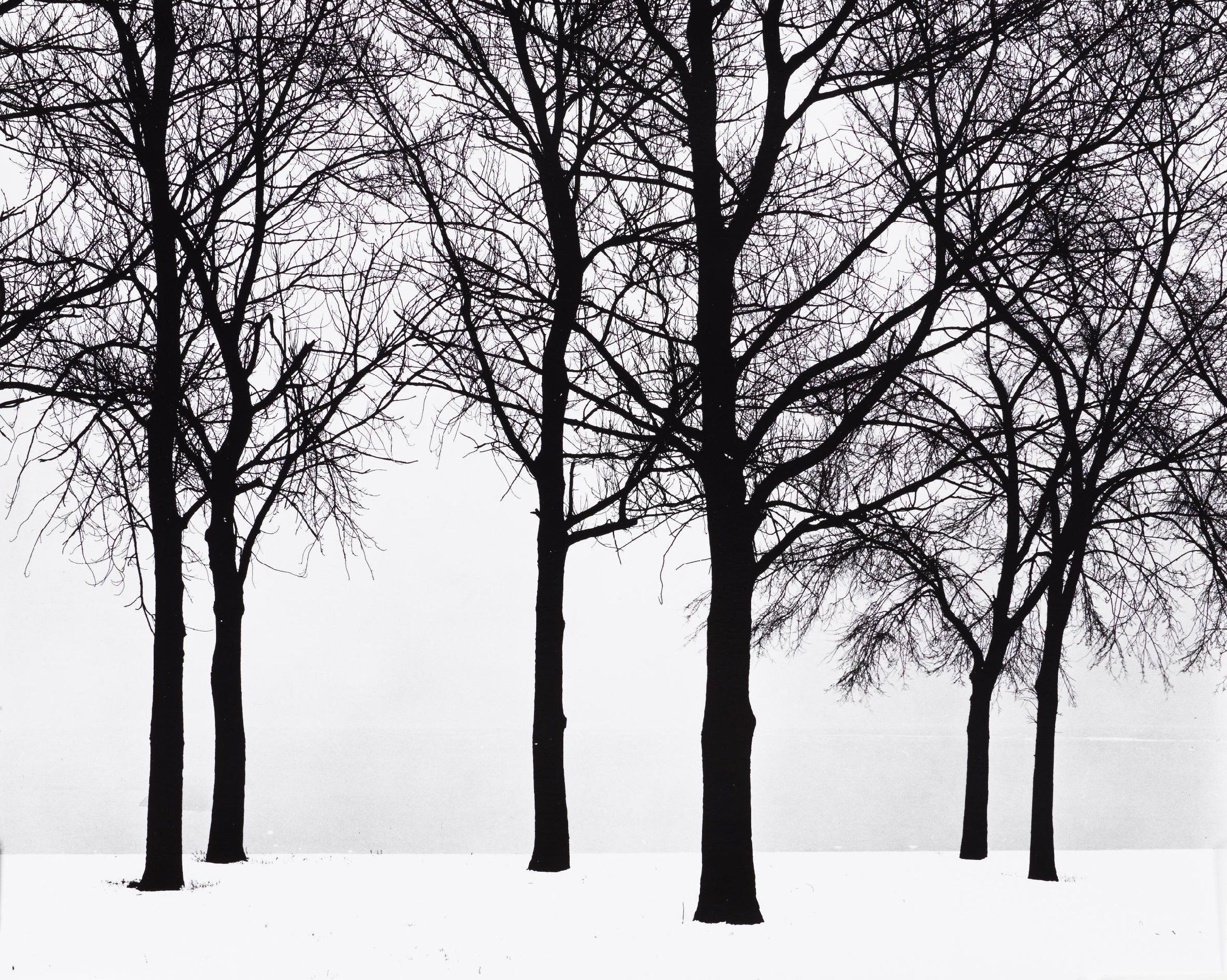Elemental Landscapes | Philadelphia Museum of Art