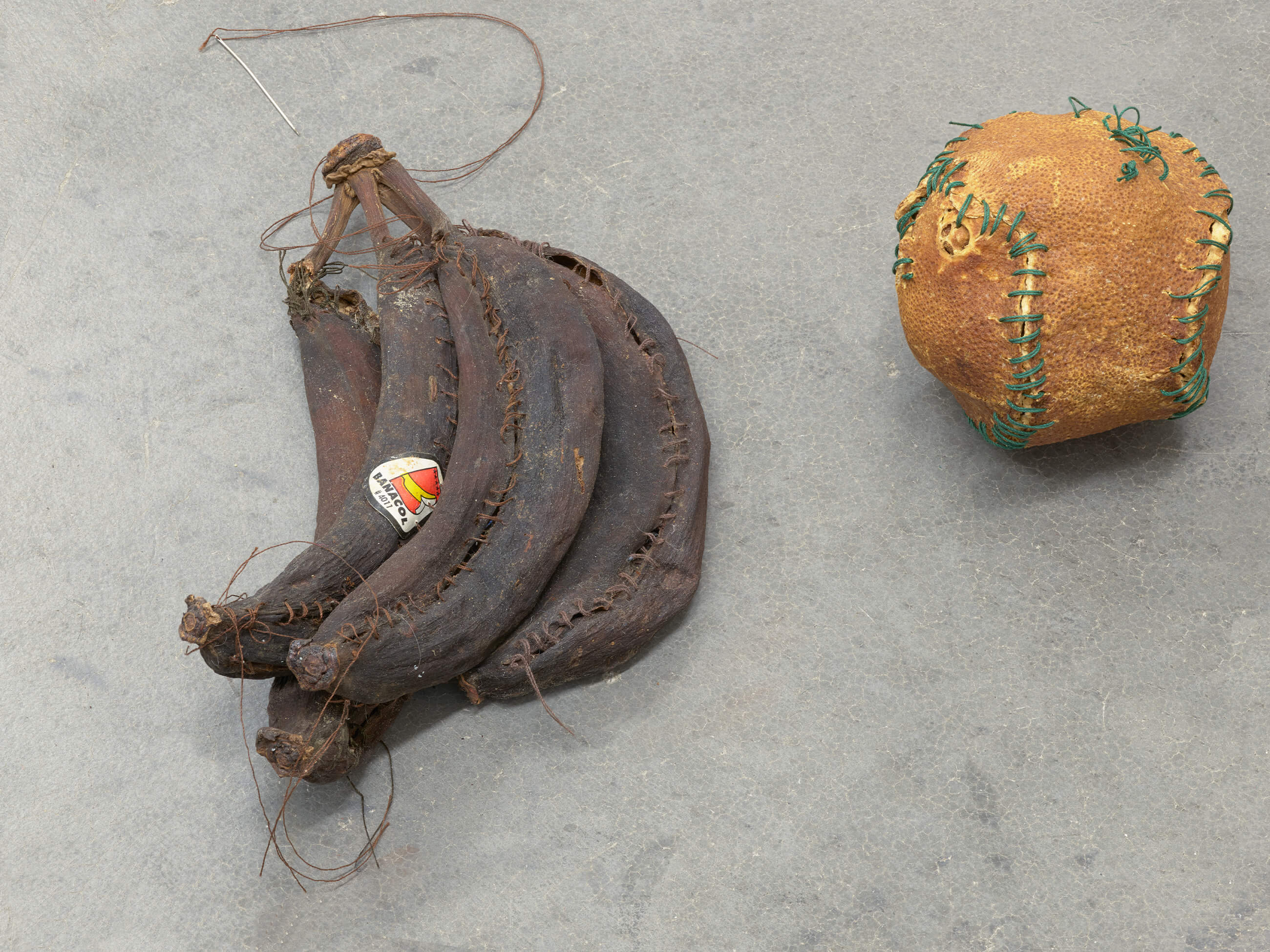 Zoe Leonard: Strange Fruit Installation | Philadelphia Museum of Art