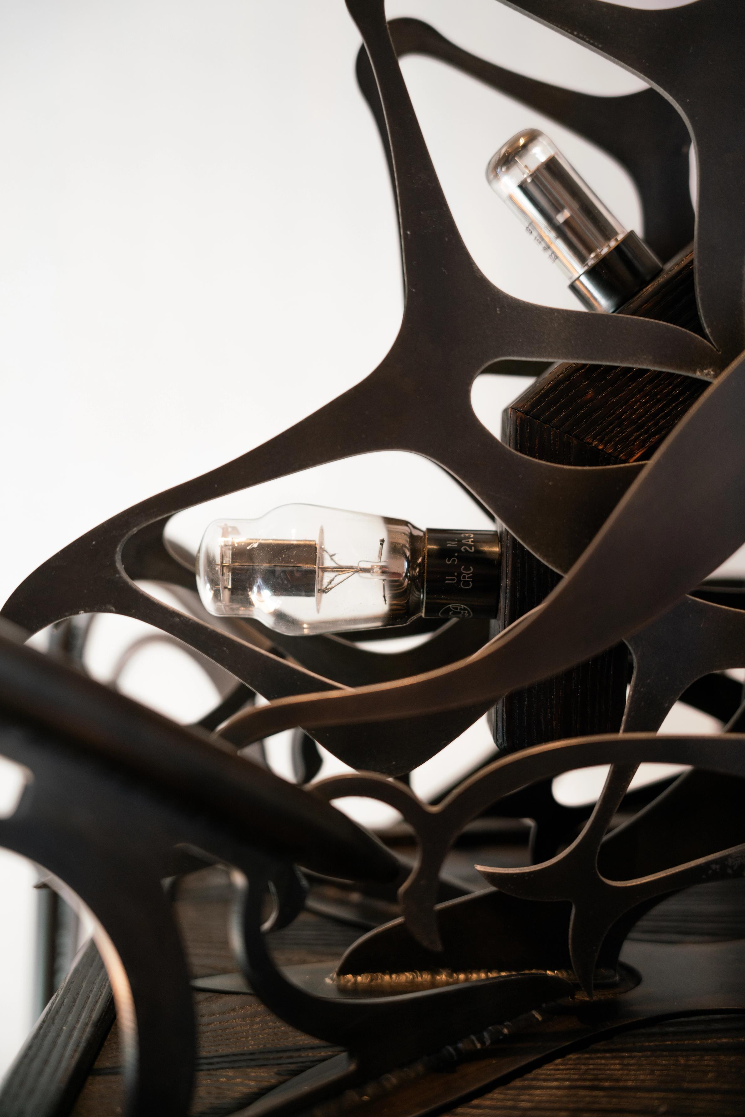 Ornamental blackened steel amplifier with tubes.