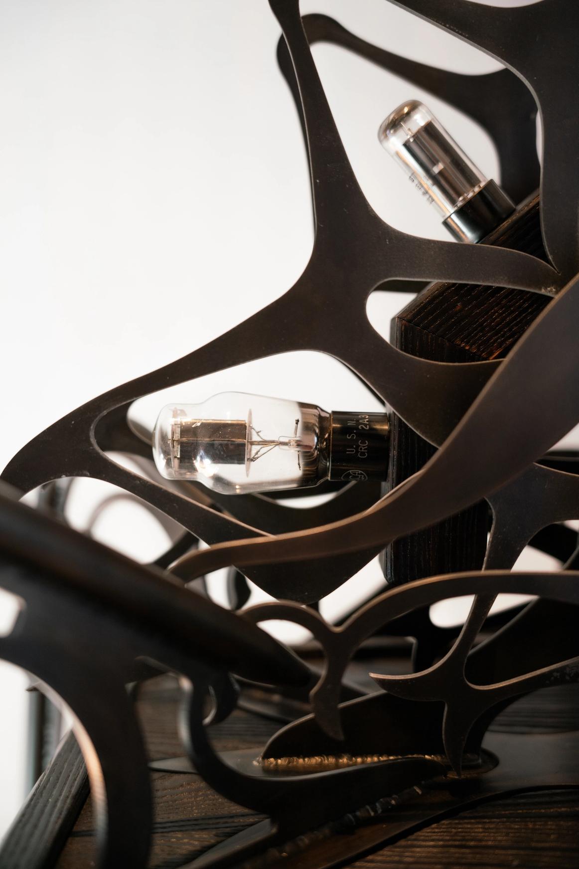 Ornamental blackened steel amplifier with tubes.