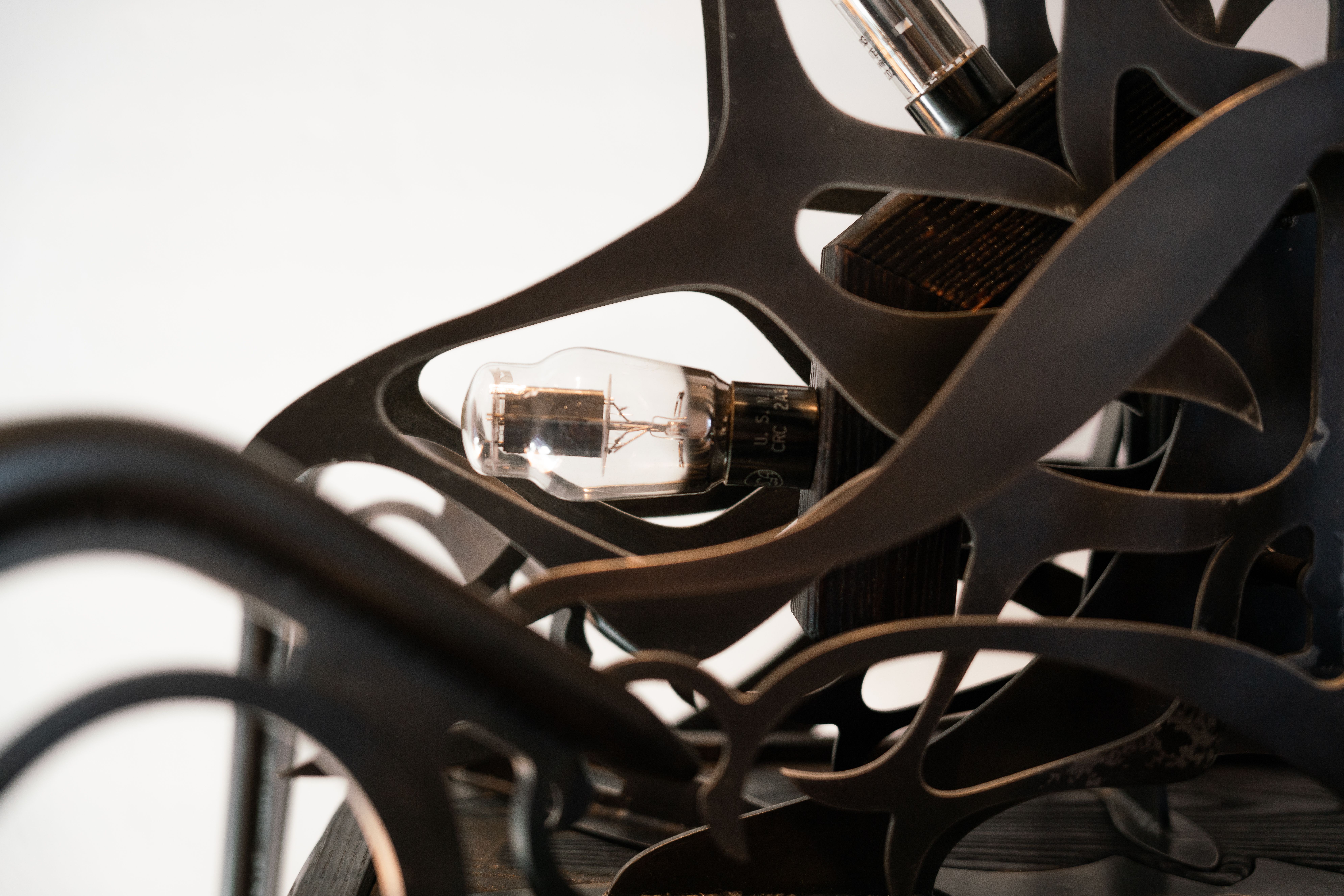 Ornamental blackened steel amplifier with tubes.