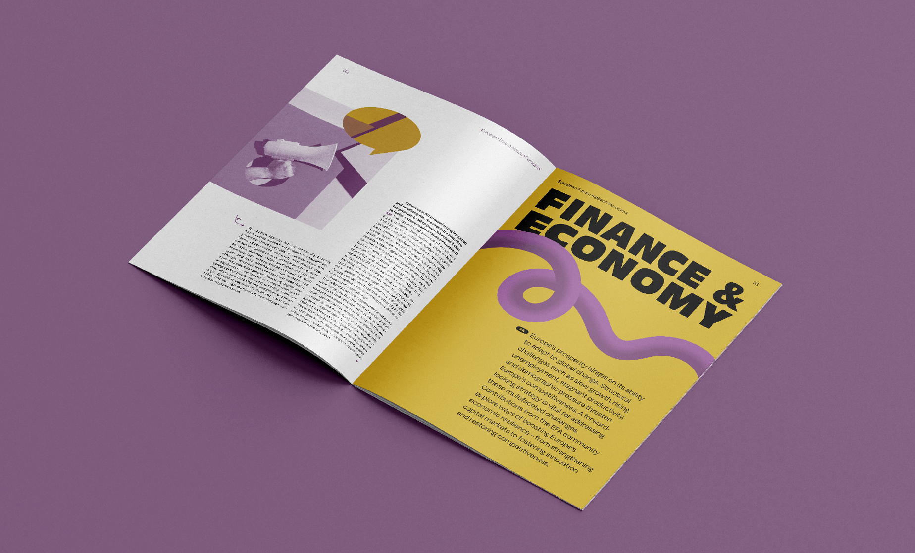 Innenseiten Panorama Magazin EFA