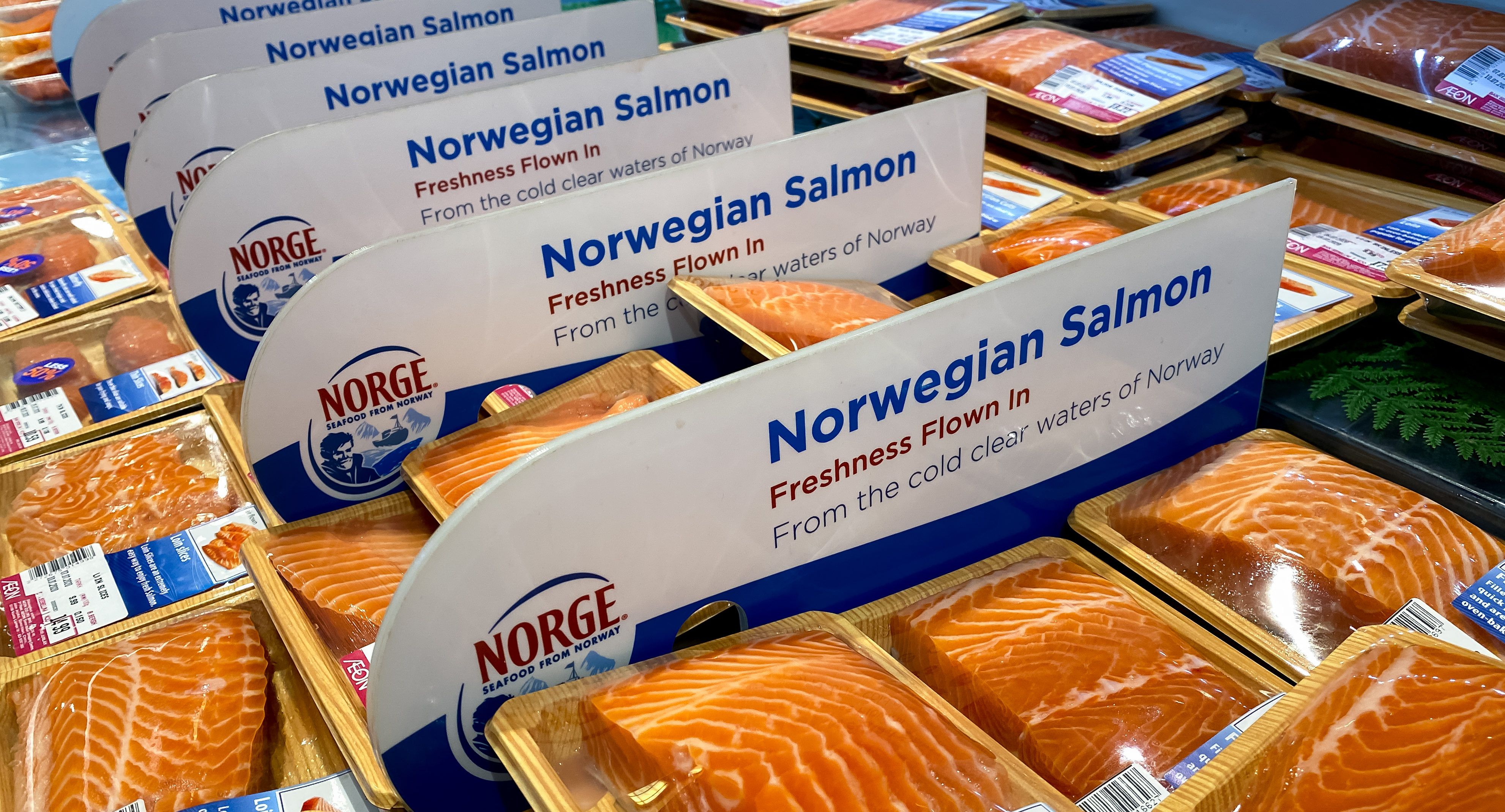 Record Salmon Export 2024