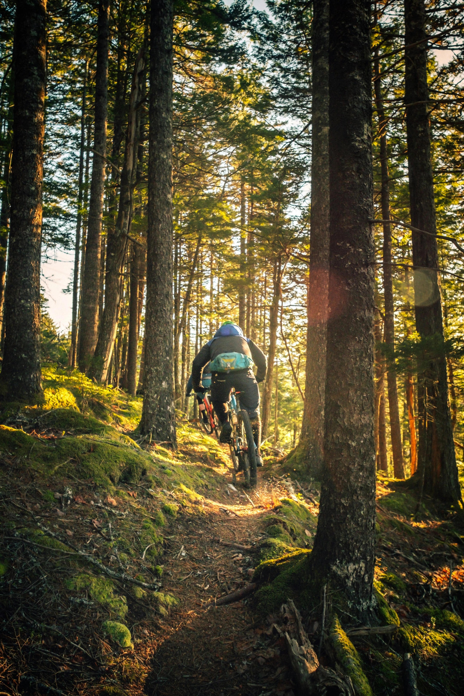 Learn Mountain Biking | Image Content | Learning Journey