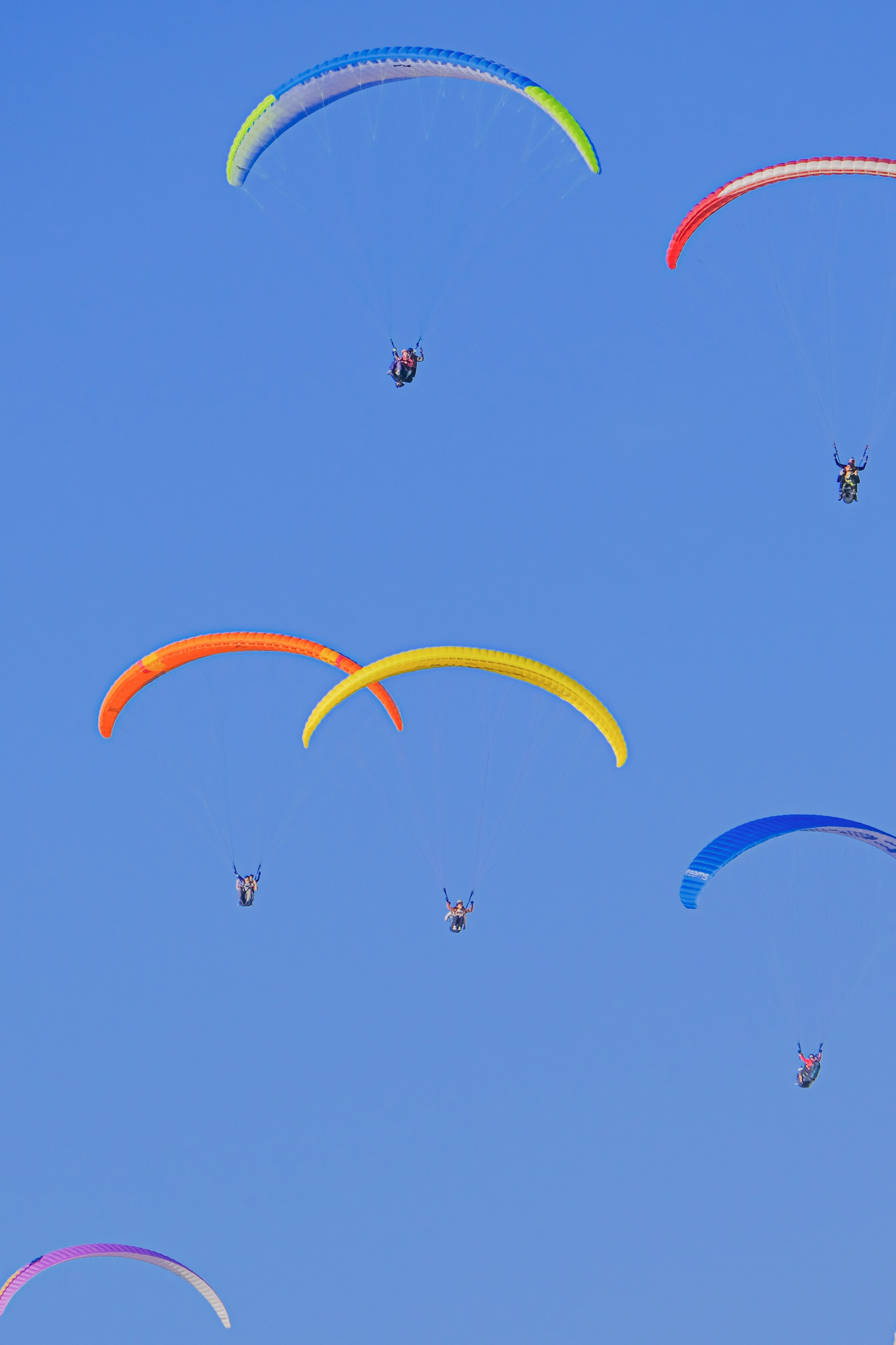 Learn Paragliding | Image Content | Gear