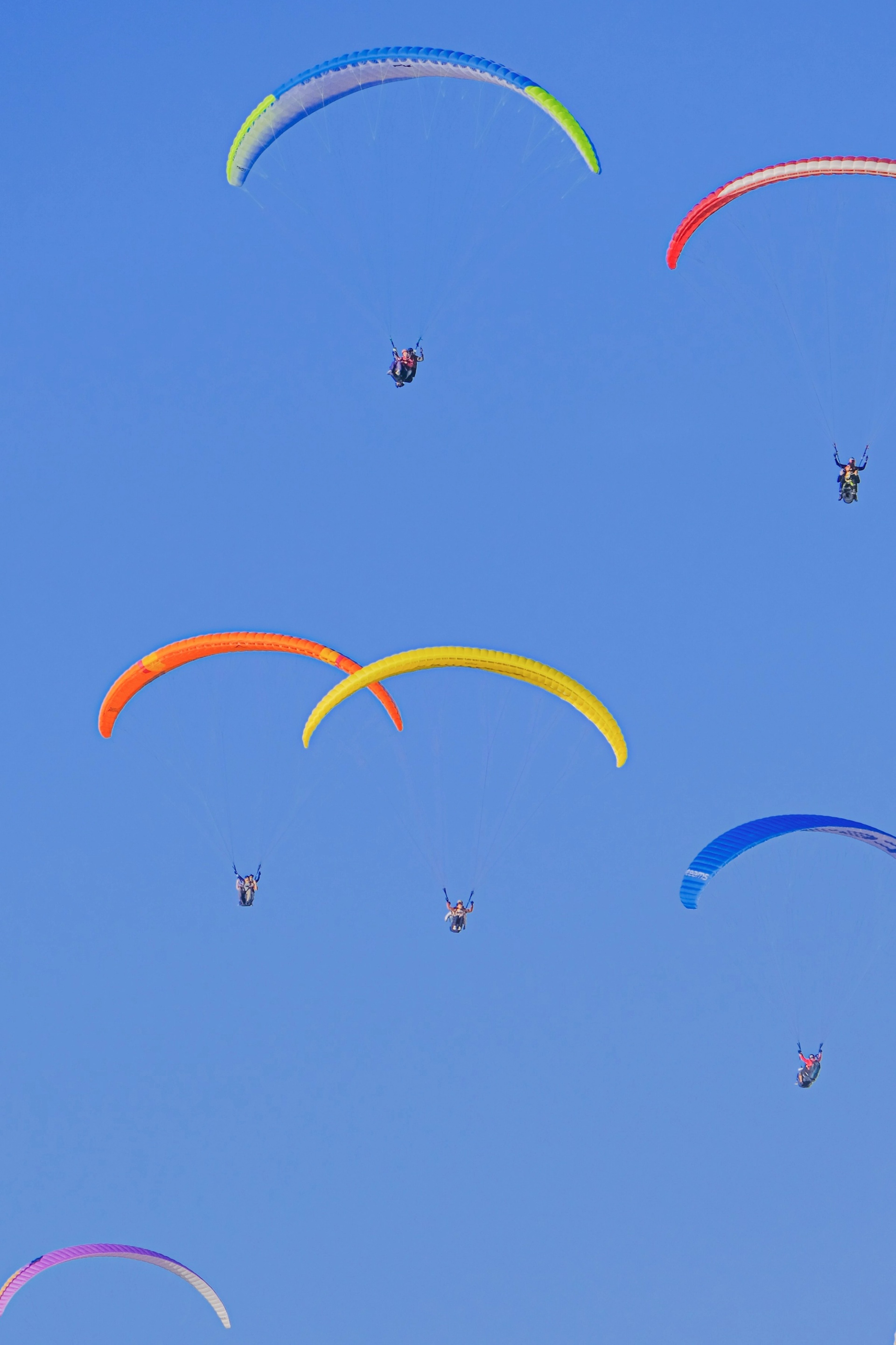 Learn Paragliding | Image Content | Gear