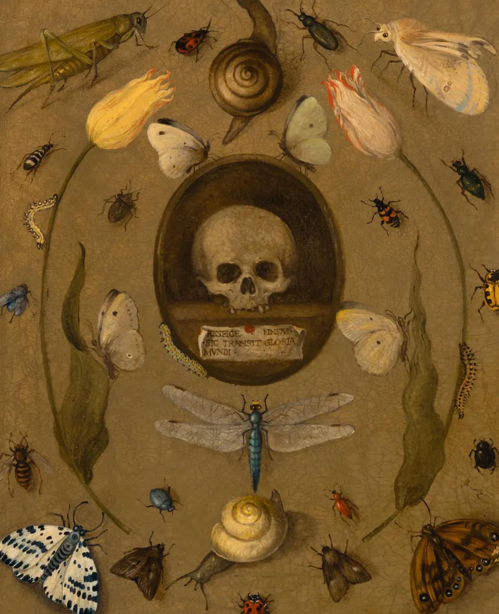 From Left to Right: Lot 2 | Follower of Joris Hoegfnagel (Flemish, 1542-1601) | Vanitas Still Life with Insects | Estimate: $2,000 - $3,000;
Lot 3 | Circle of Hercules Seghers (Dutch, c. 1590-c. 1638) | Vanitas Still Life with an Intaglio Ring | Estimate: $3,000 - $5,000