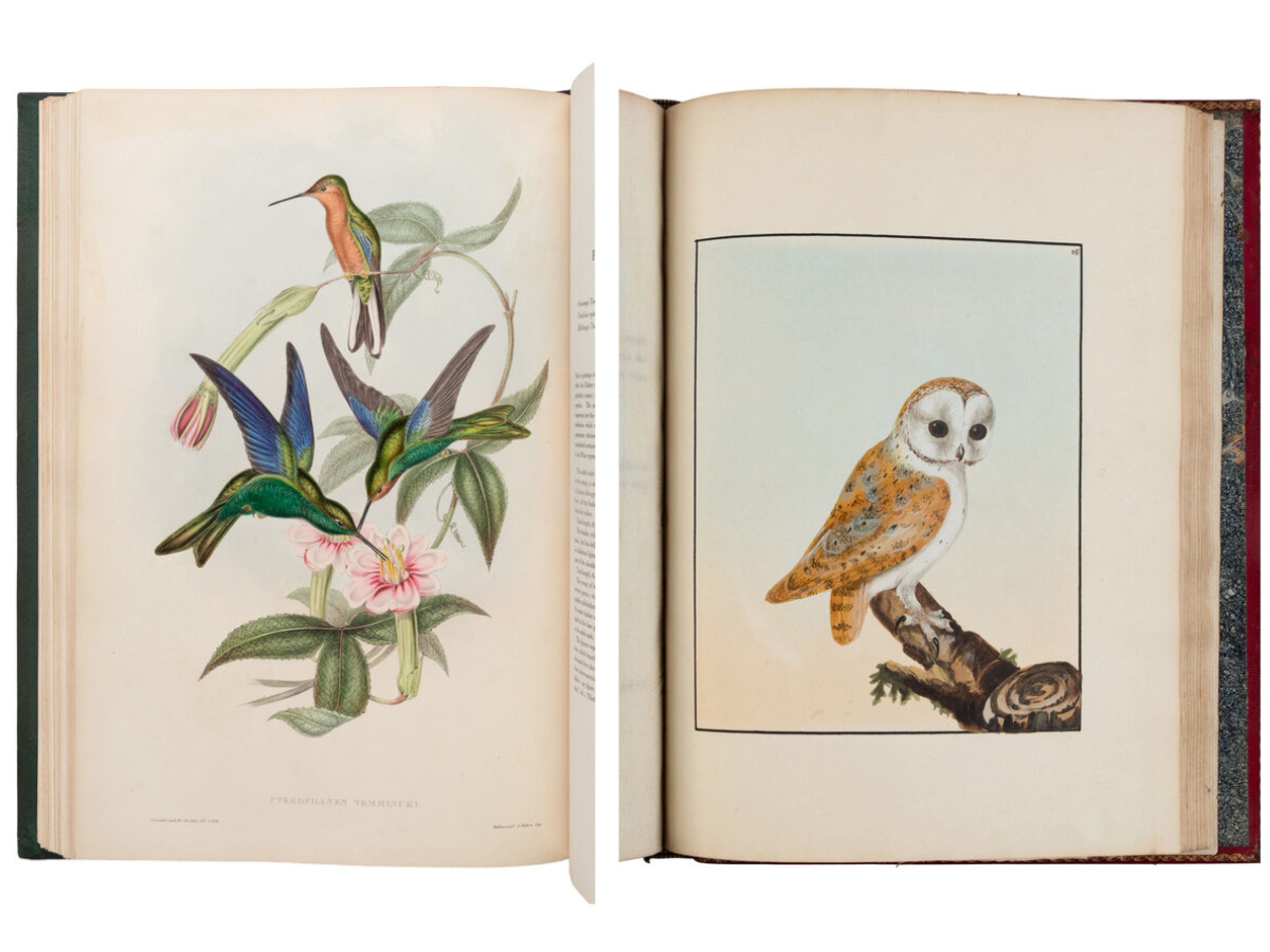 LEFT | GOULD, John. A Monograph of the Trochilidae...Humming-Birds. L., [1849-] 1861.| Sold for $88,900