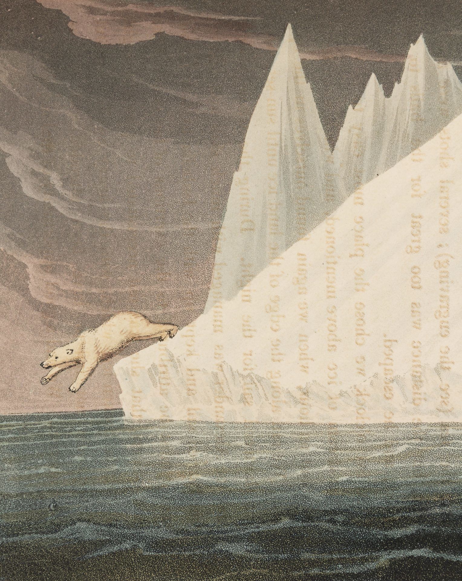 A Life of Adventure: The Story of Steve Fossett and His Personal Library