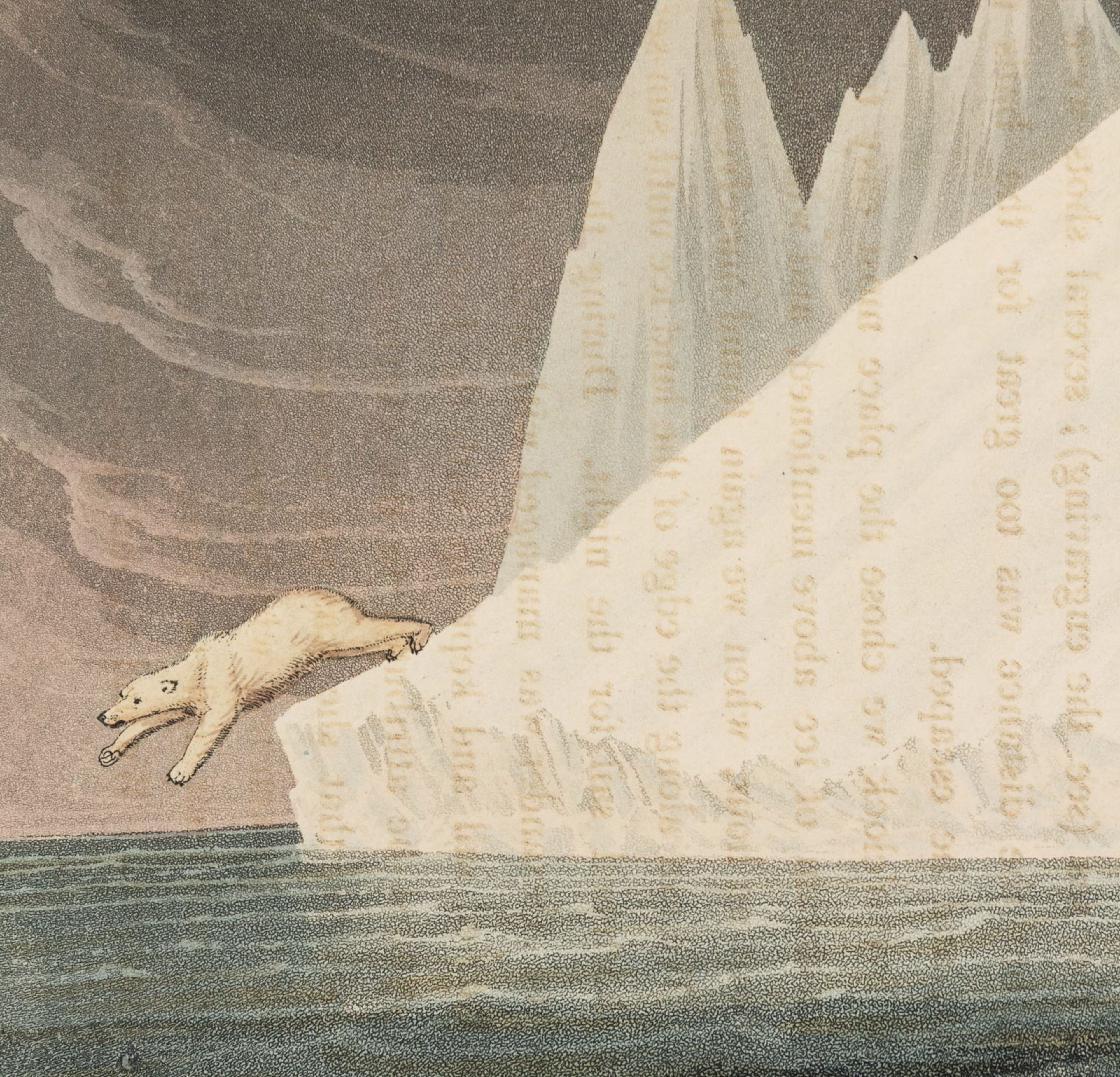 A Life of Adventure: The Story of Steve Fossett and His Personal Library