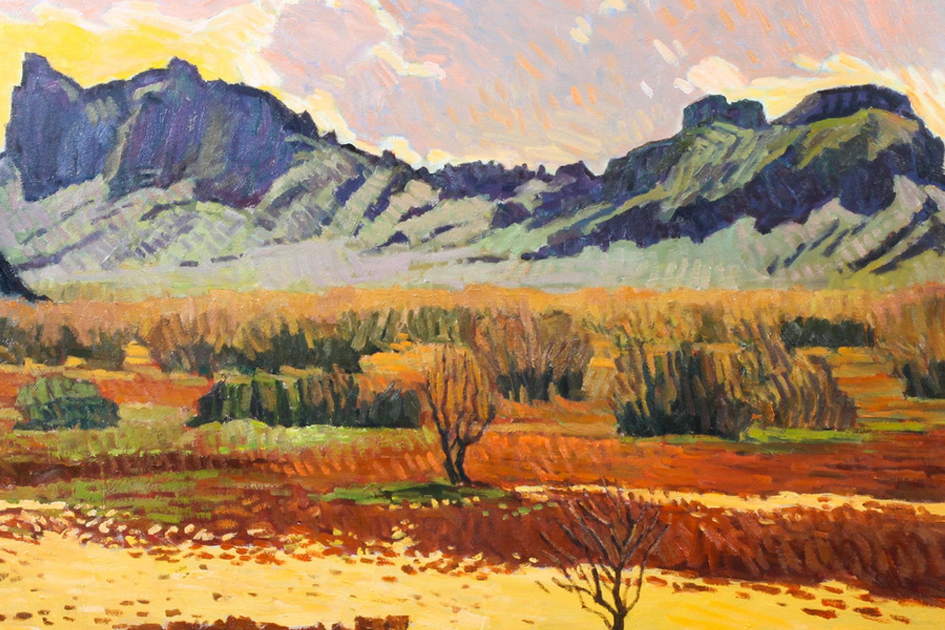Denver Auction House