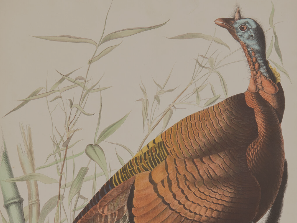Founding Fathers Lead the Way as Freeman’s | Hindman’s Printed and Manuscript Americana Sale More Than Doubles Expectations