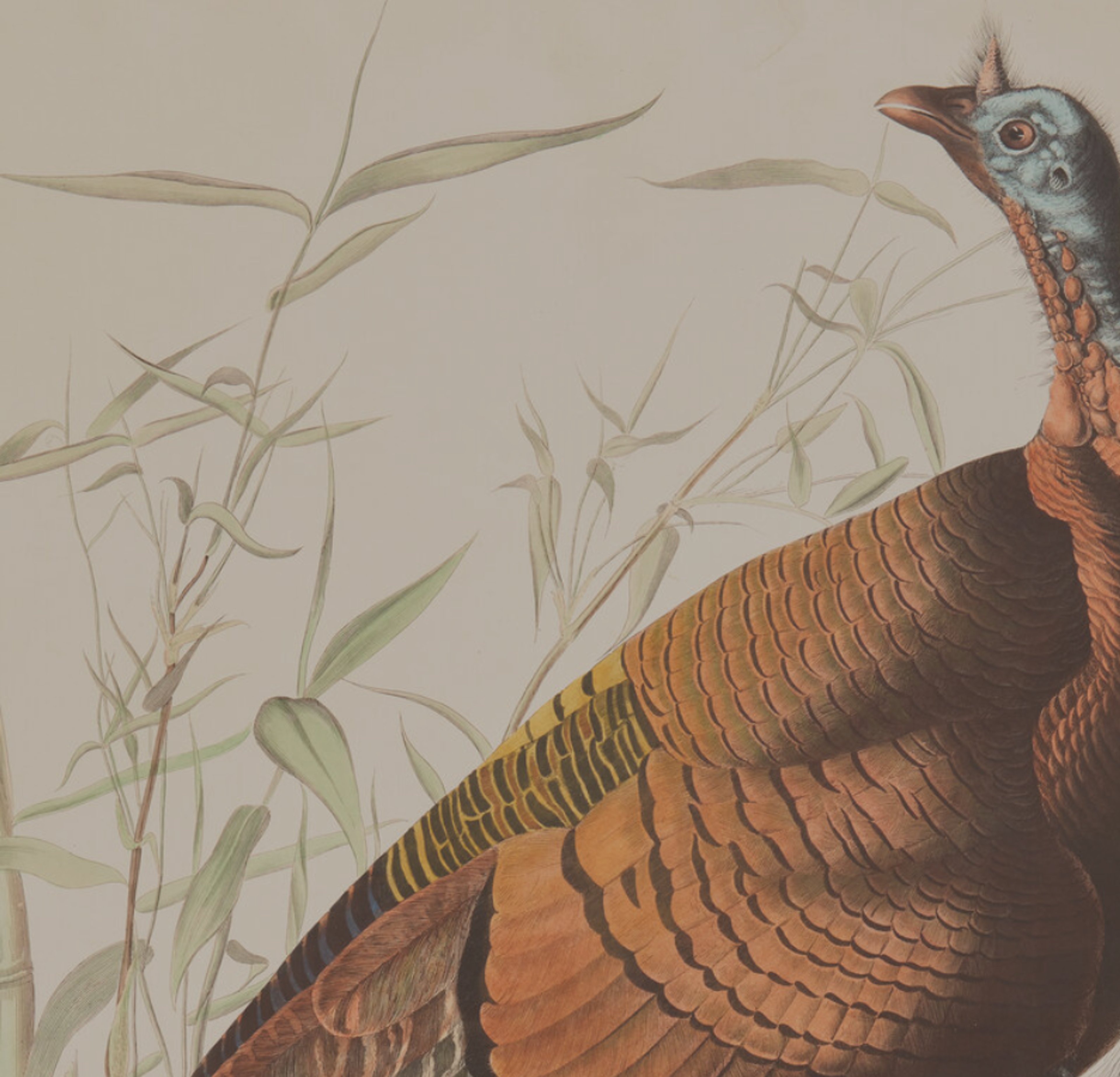 Founding Fathers Lead the Way as Freeman’s | Hindman’s Printed and Manuscript Americana Sale More Than Doubles Expectations