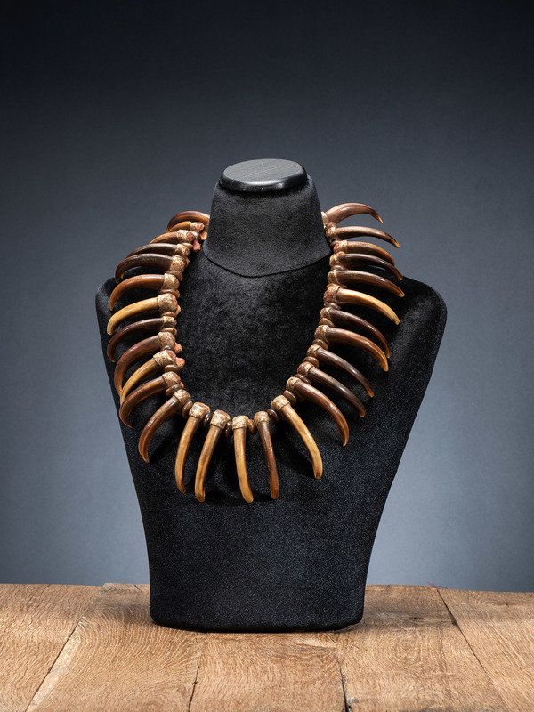 Sioux Grizzly Bear Claw Necklace