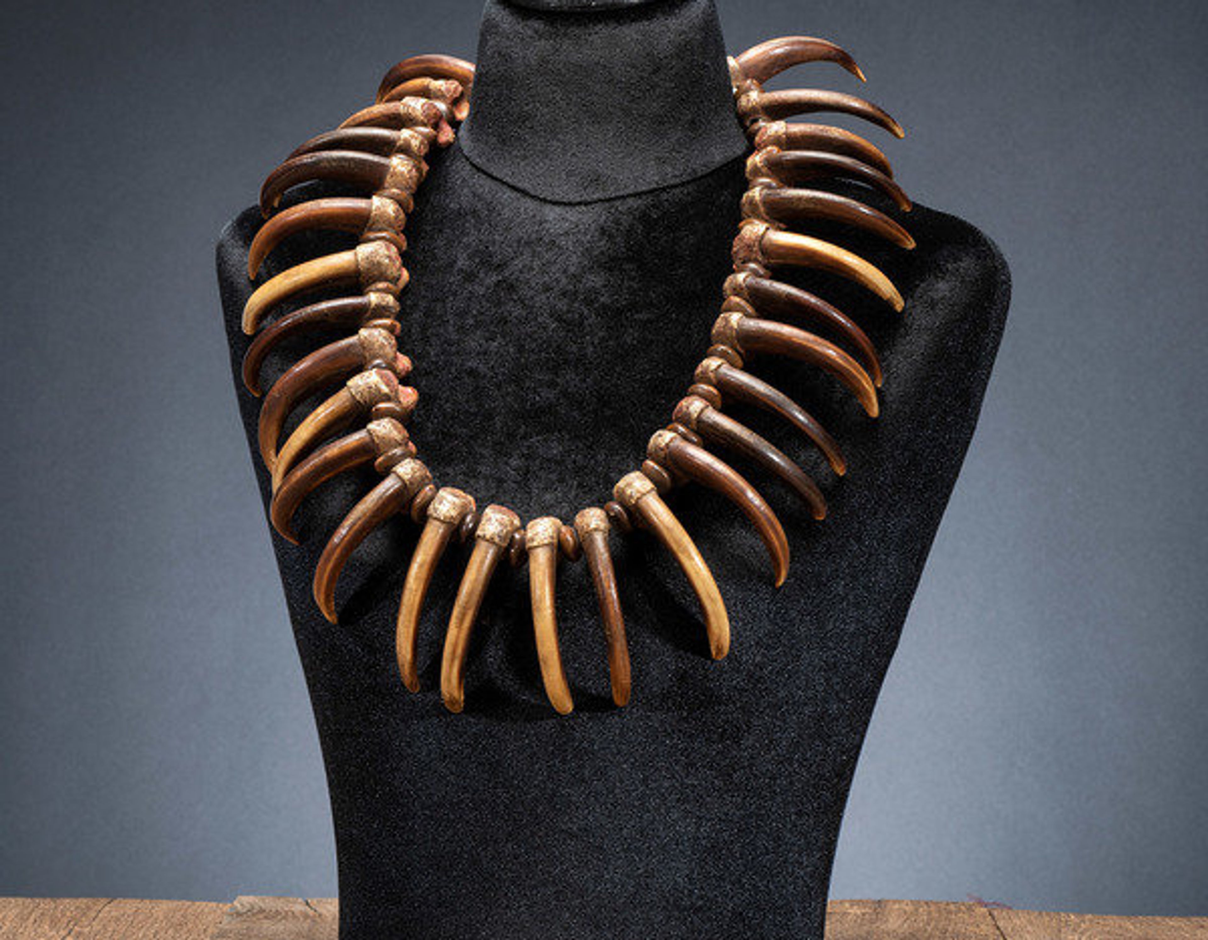 Sioux Grizzly Bear Claw Necklace