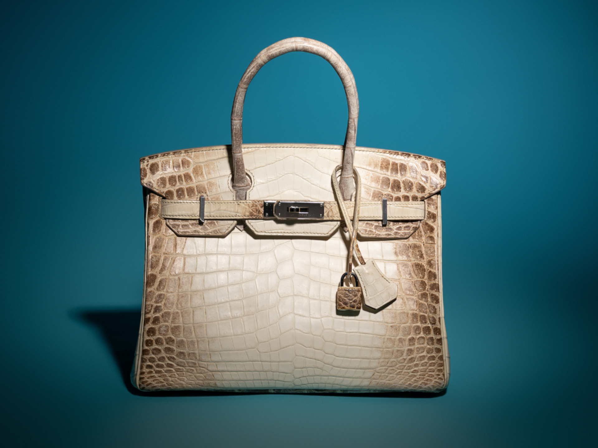 Hermès Birkin Bags: A Collector’s Guide