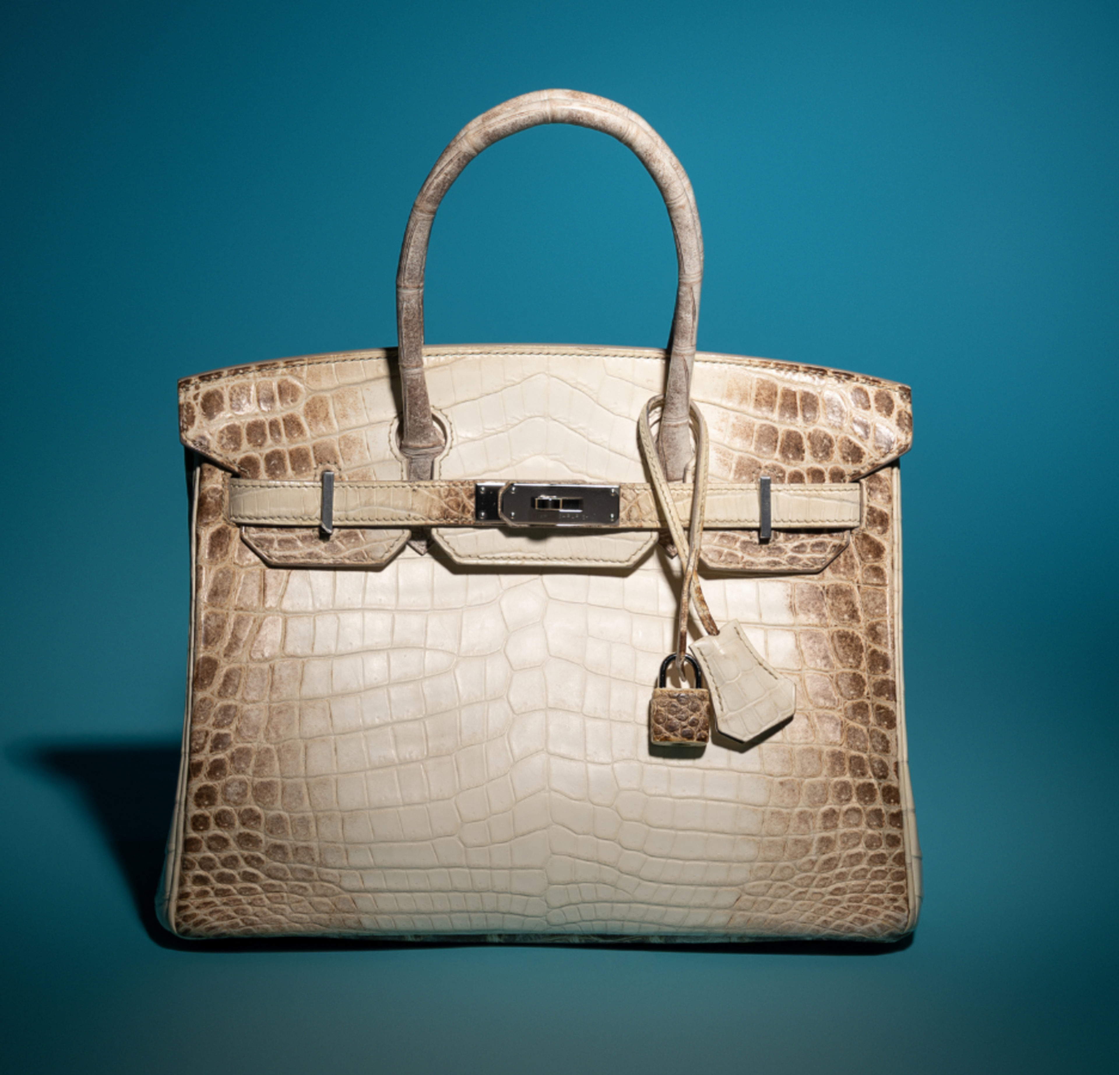 Hermès Birkin Bags: A Collector’s Guide