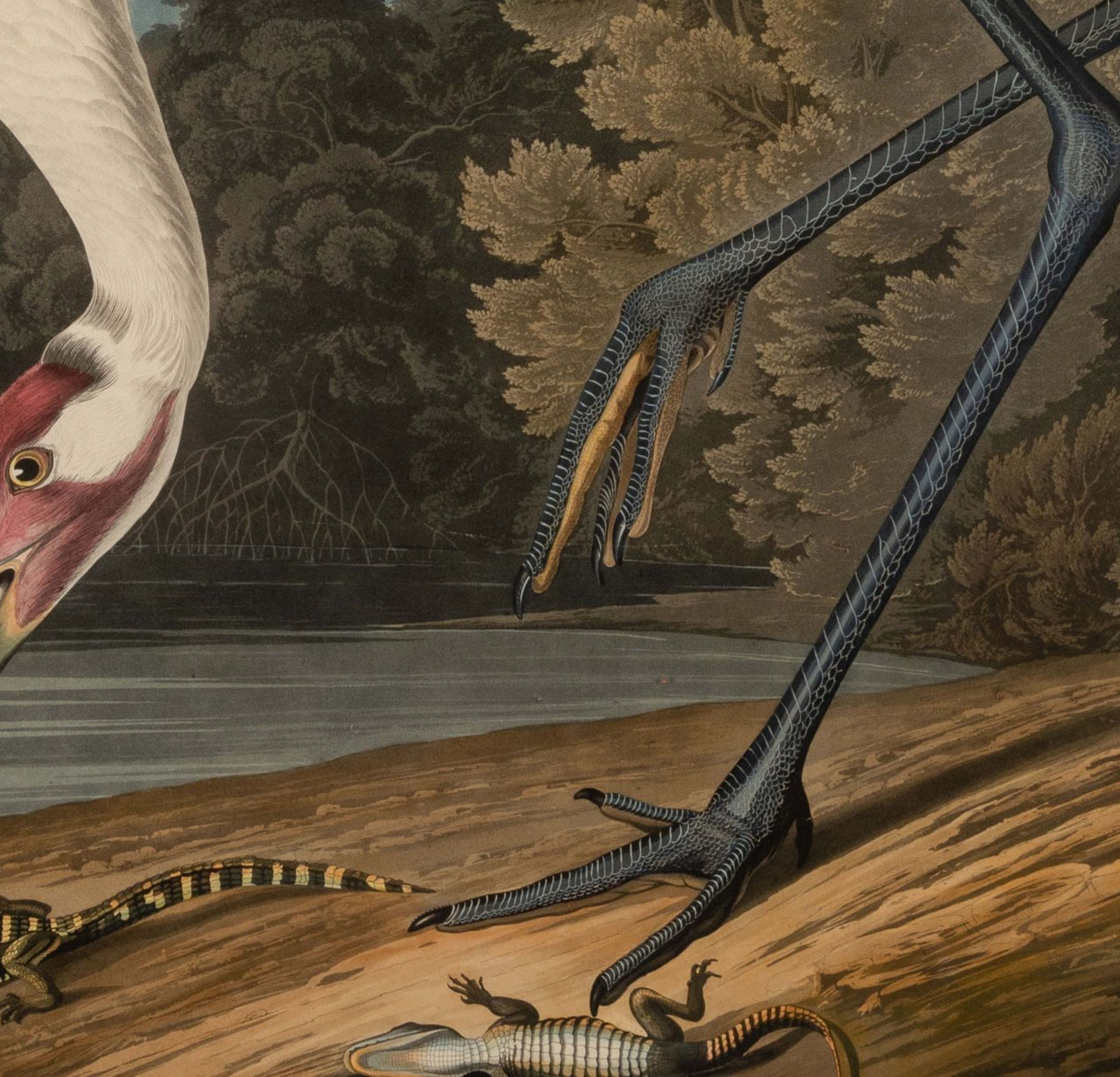 Havell Audubon Engravings & First Editions of 19th And 20th Century Literature Drive Hindman Fine Books & Manuscripts Auctions To Over $1.4 Million