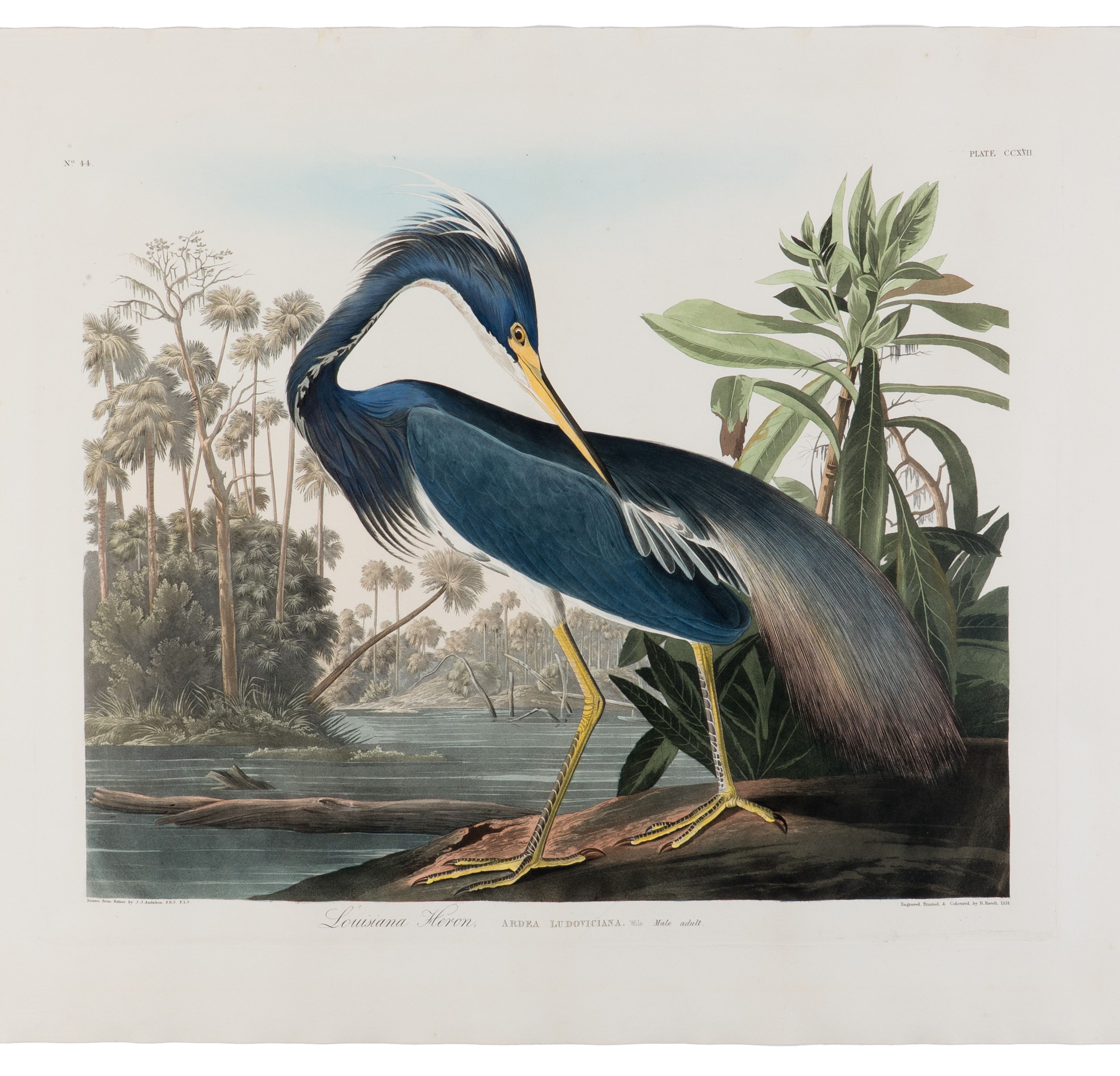 Freeman’s Fine Printed Books & Manuscripts Auction Achieves Exceptional Results, Led by Rare Shakespeare, Faulkner, Maugham, and Hemingway Highlights