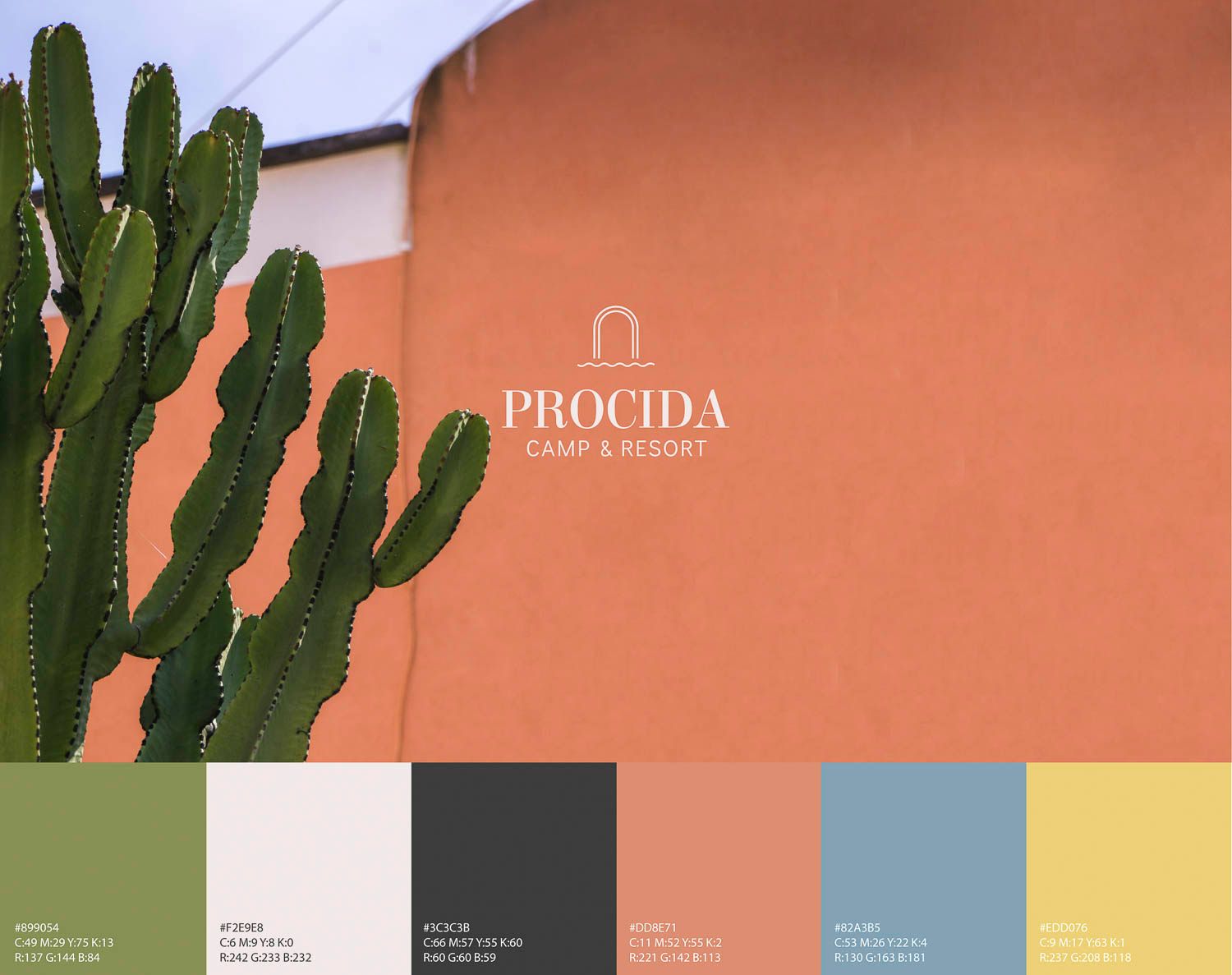 foto a colori con parete muro esterno color salmone e una pianta di cactus