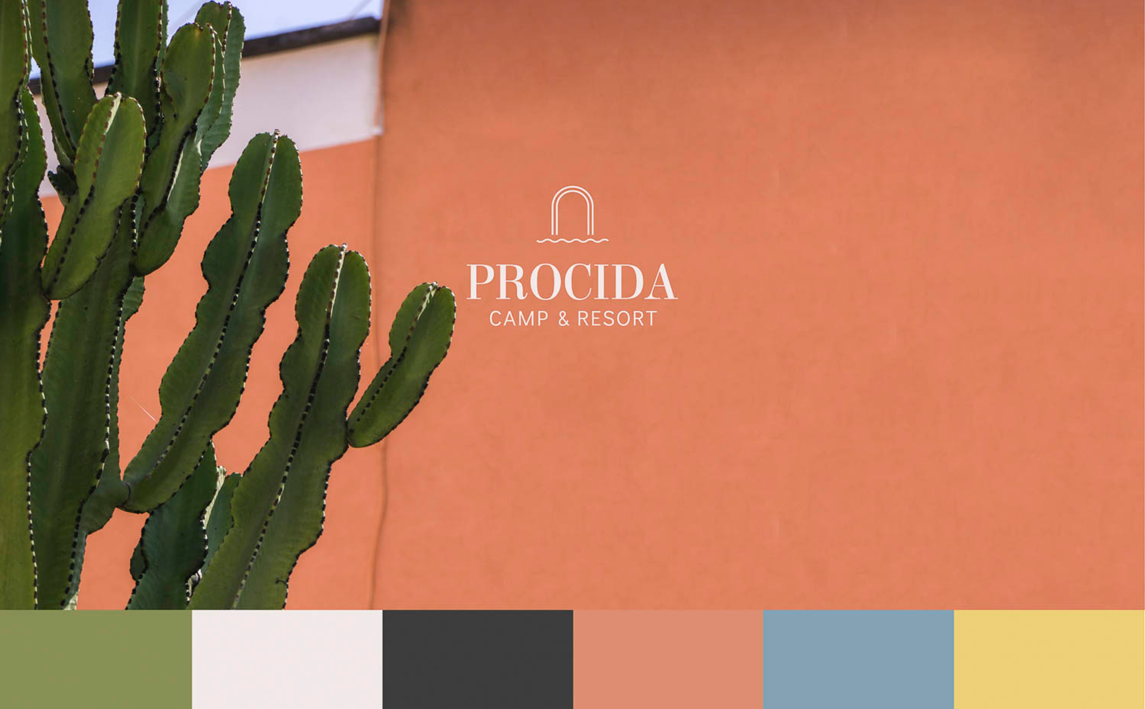 foto a colori con parete muro esterno color salmone e una pianta di cactus