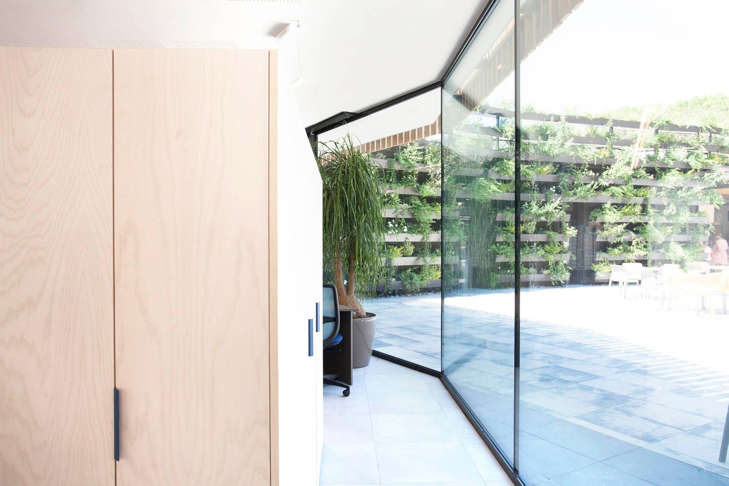 foto a colori con reception camping